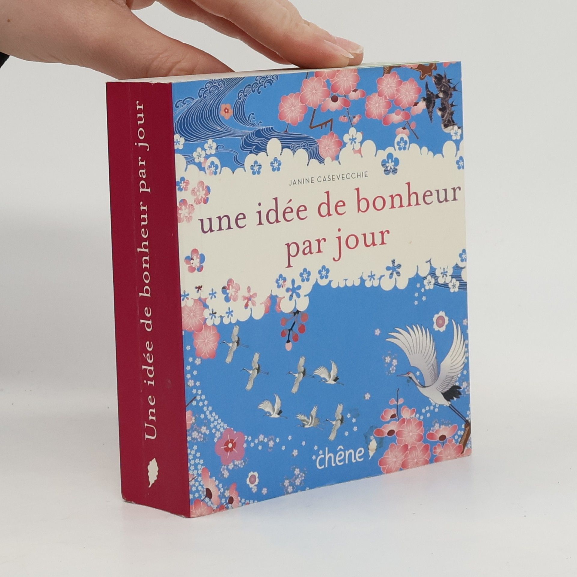 Janine Casevecchie Une idée de bonheur par jour