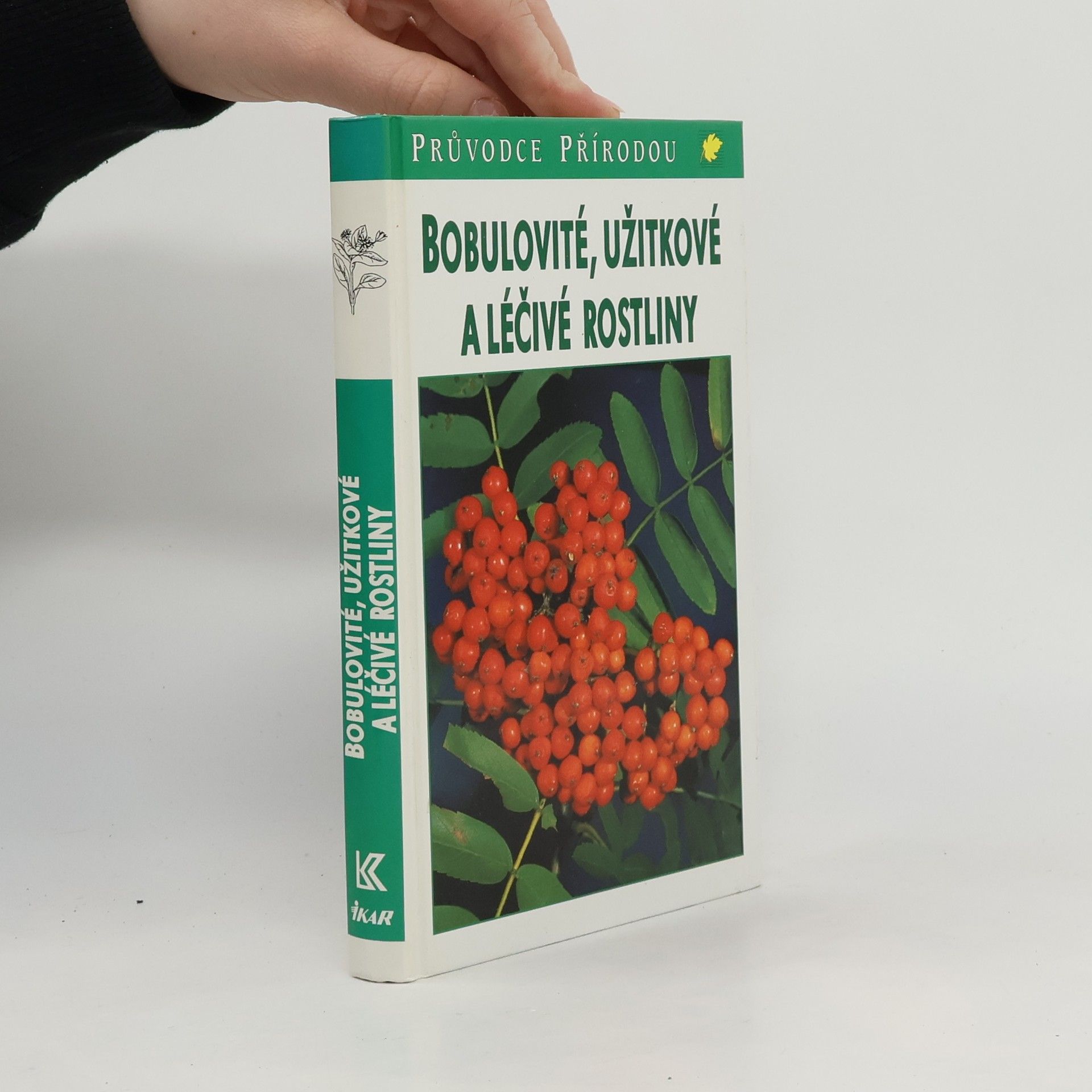 Jürke Grau Bobulovité, užitkové a léčivé rostliny