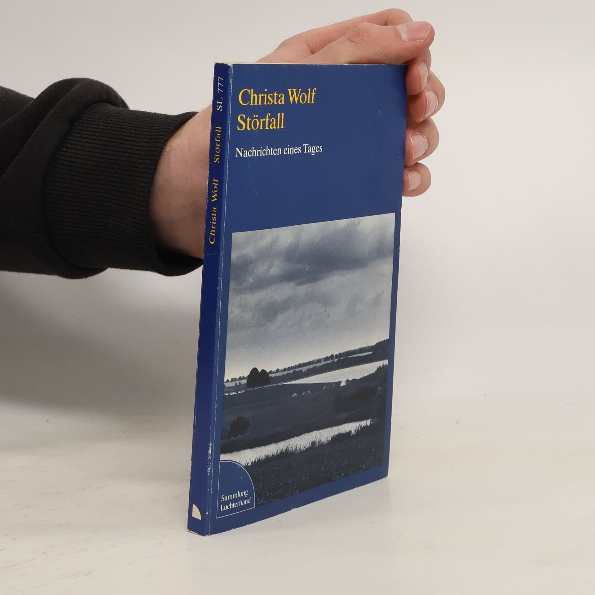 Christa Wolf Störfall