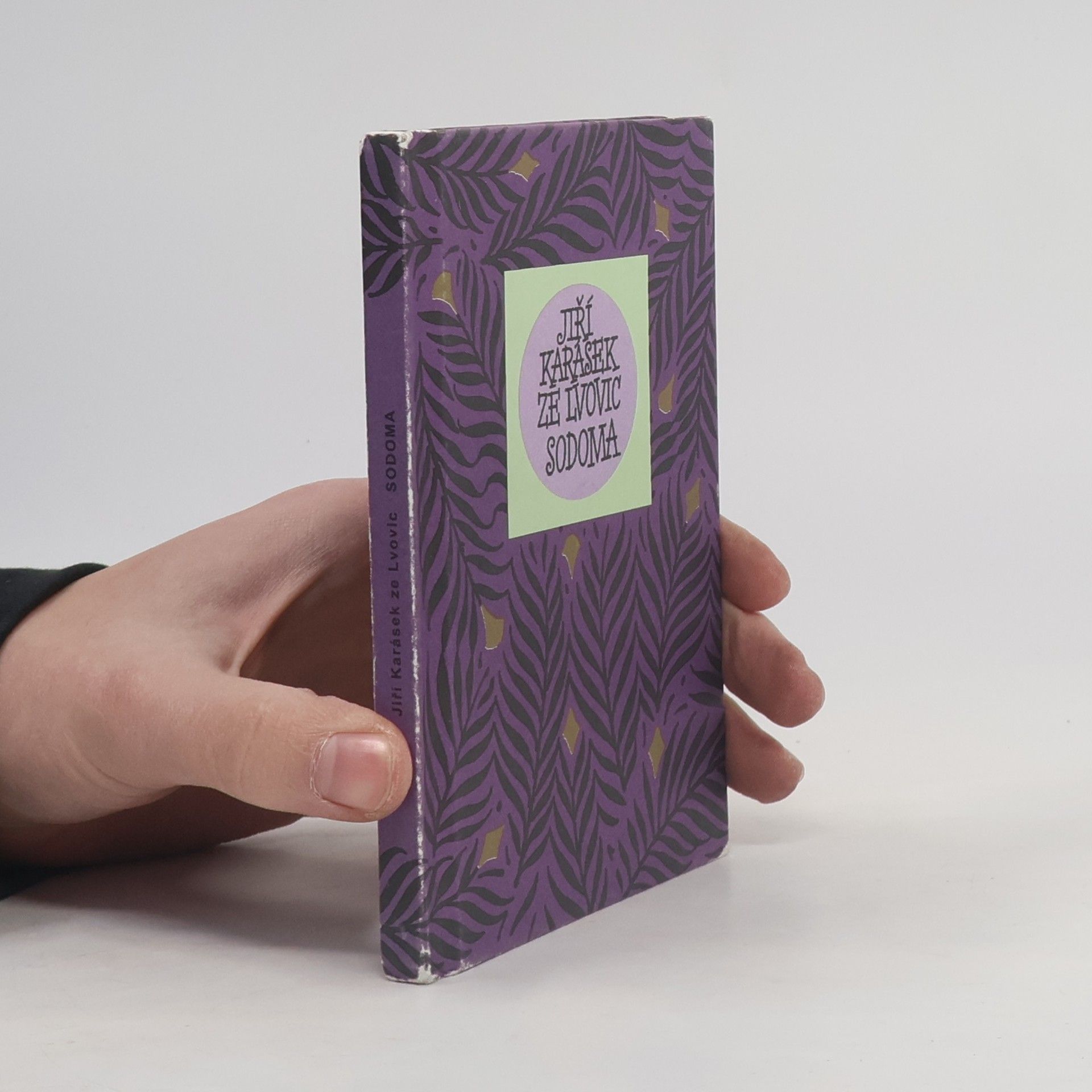 Jiří Karásek ze Lvovic Sodoma