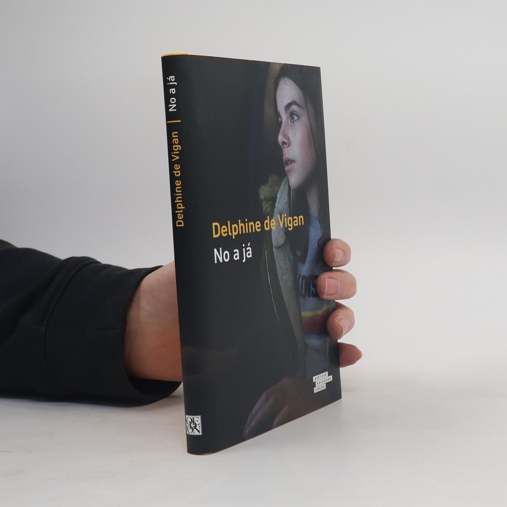 Delphine de Vigan No a já