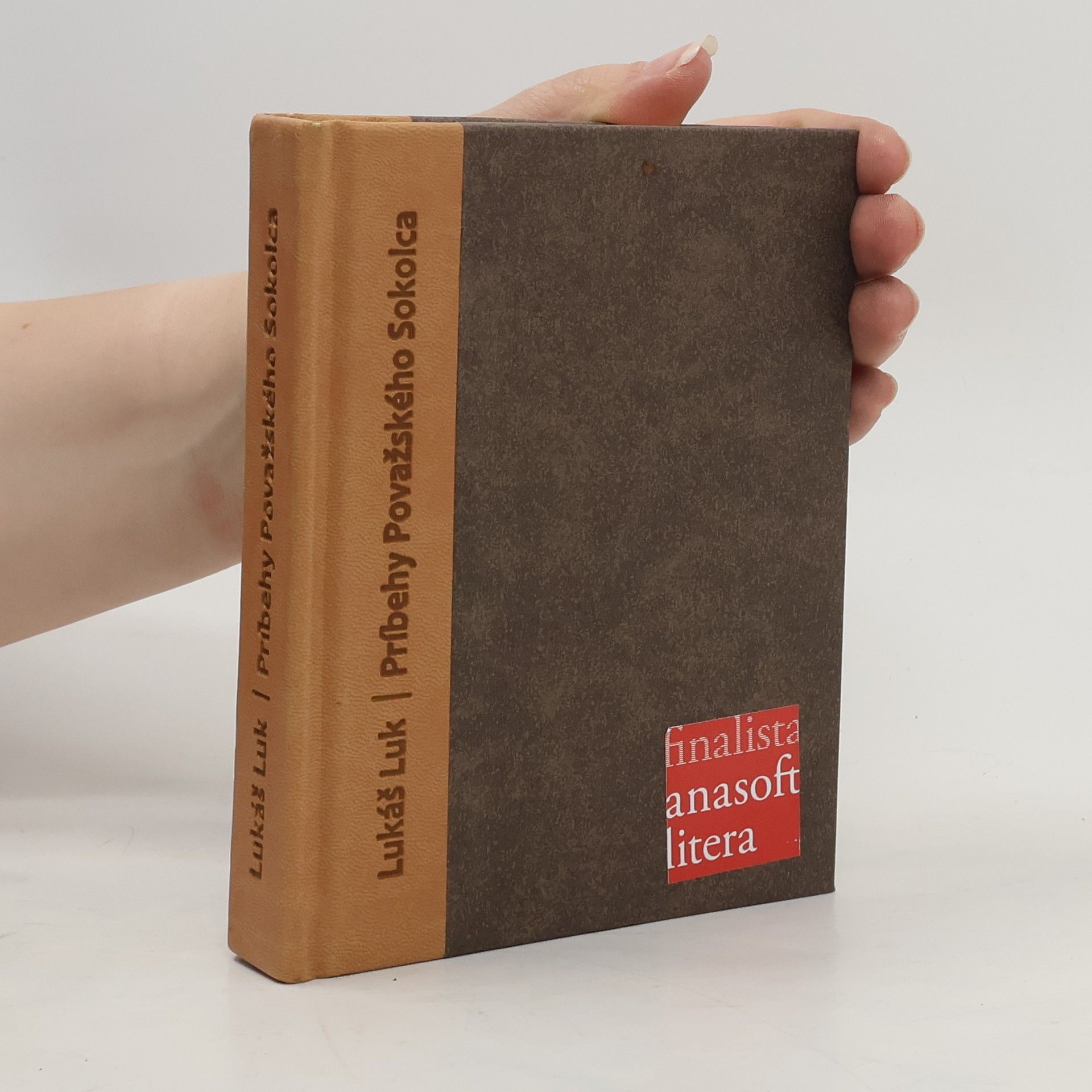 Lukáš Luk Príbehy Považského Sokolca