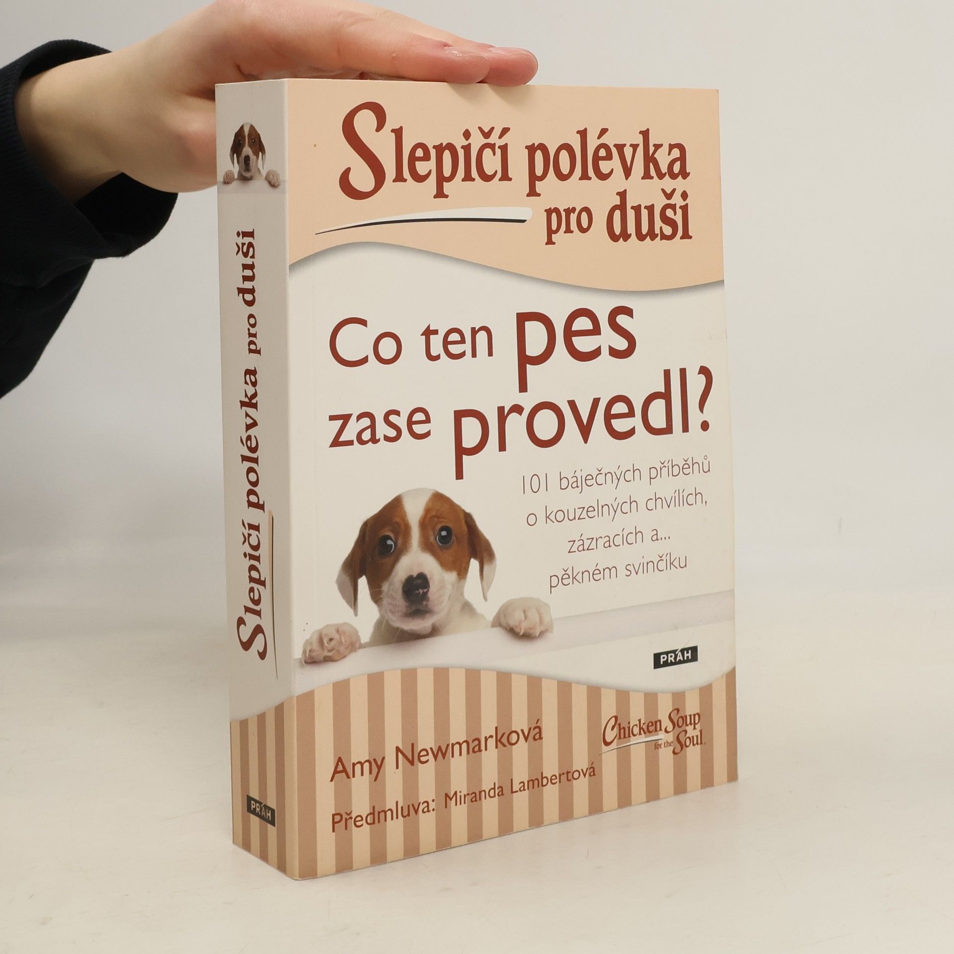 Amy Newmark Slepičí polévka pro duši. Co ten pes zase provedl?