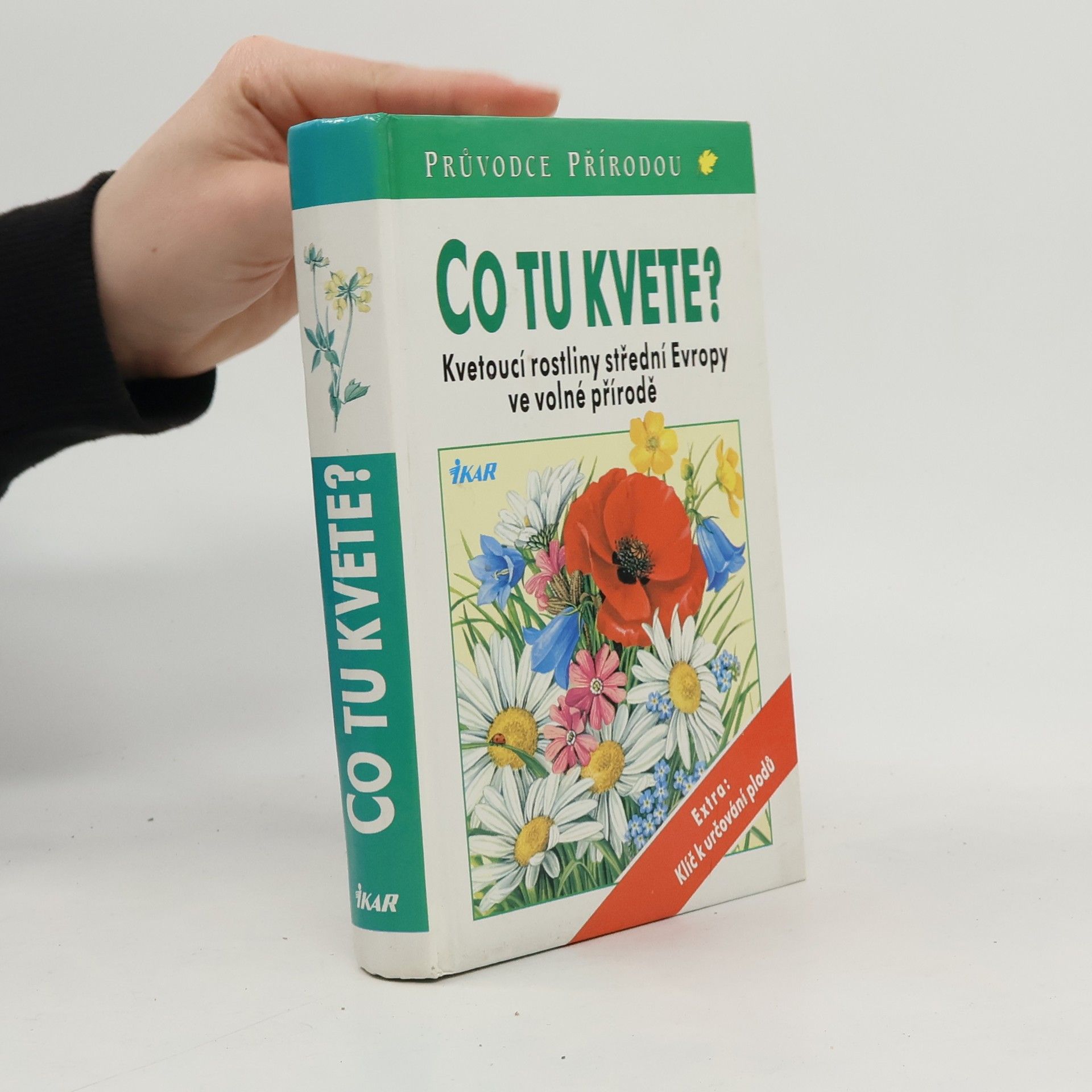 Dietmar Aichele Co tu kvete?