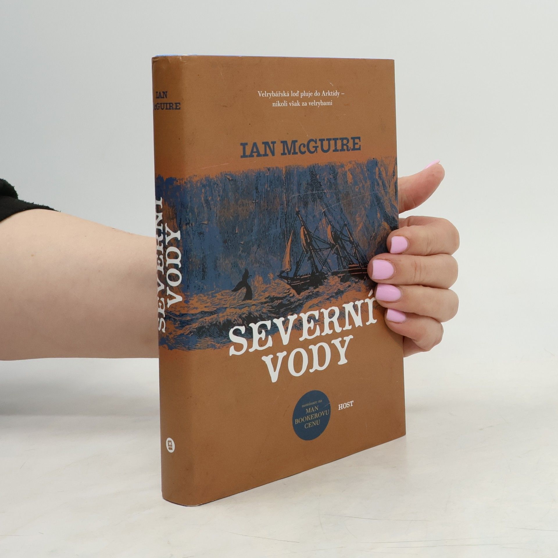 Ian McGuire Severní vody