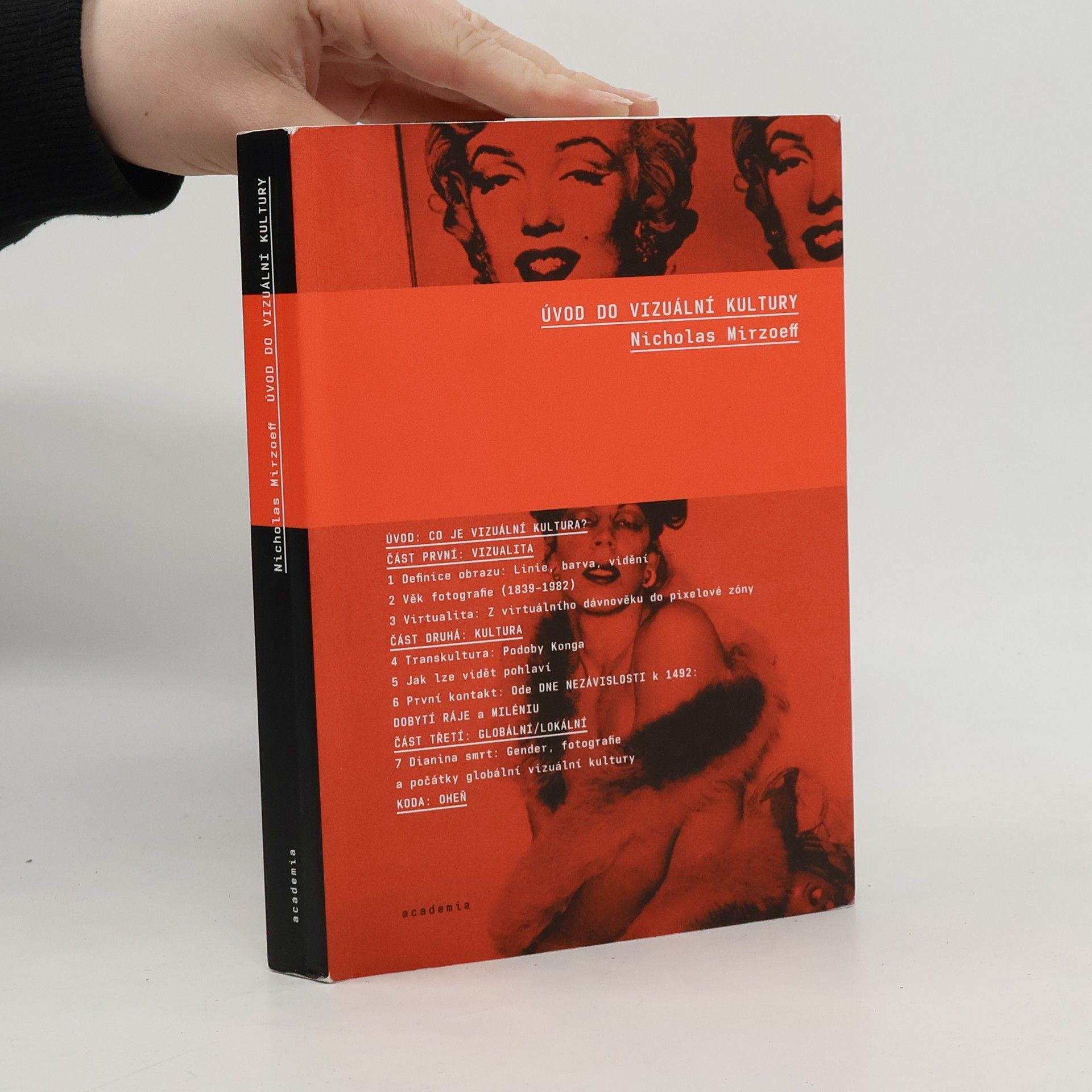 Nicholas Mirzoeff Úvod do vizuální kultury
