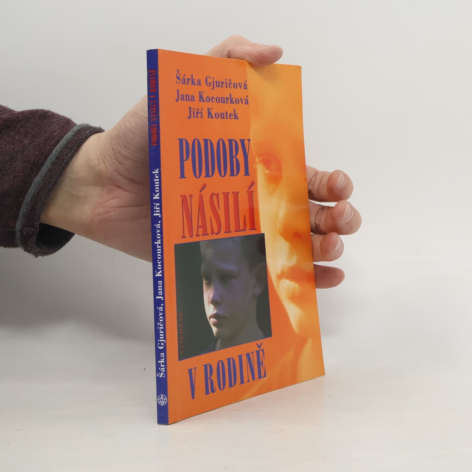 Šárka Gjuričová Podoby násilí v rodině