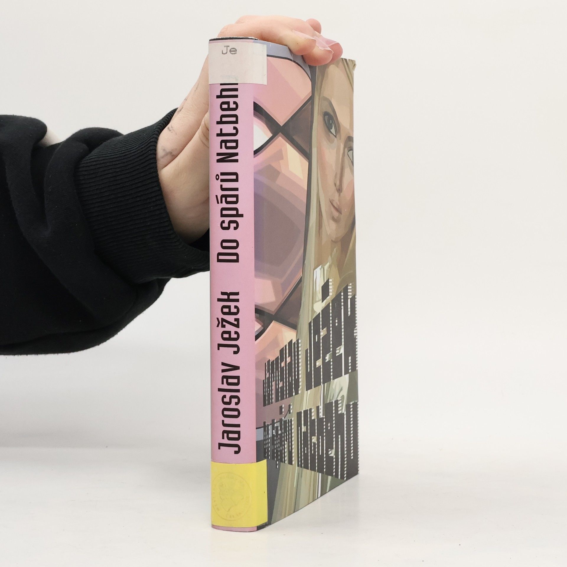 Jaroslav Ježek Do spárů Natbehu