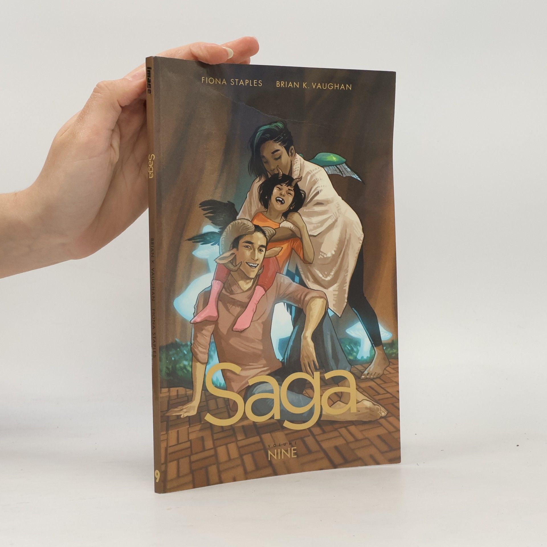 K. Brian Vaughan Saga. Volume nine
