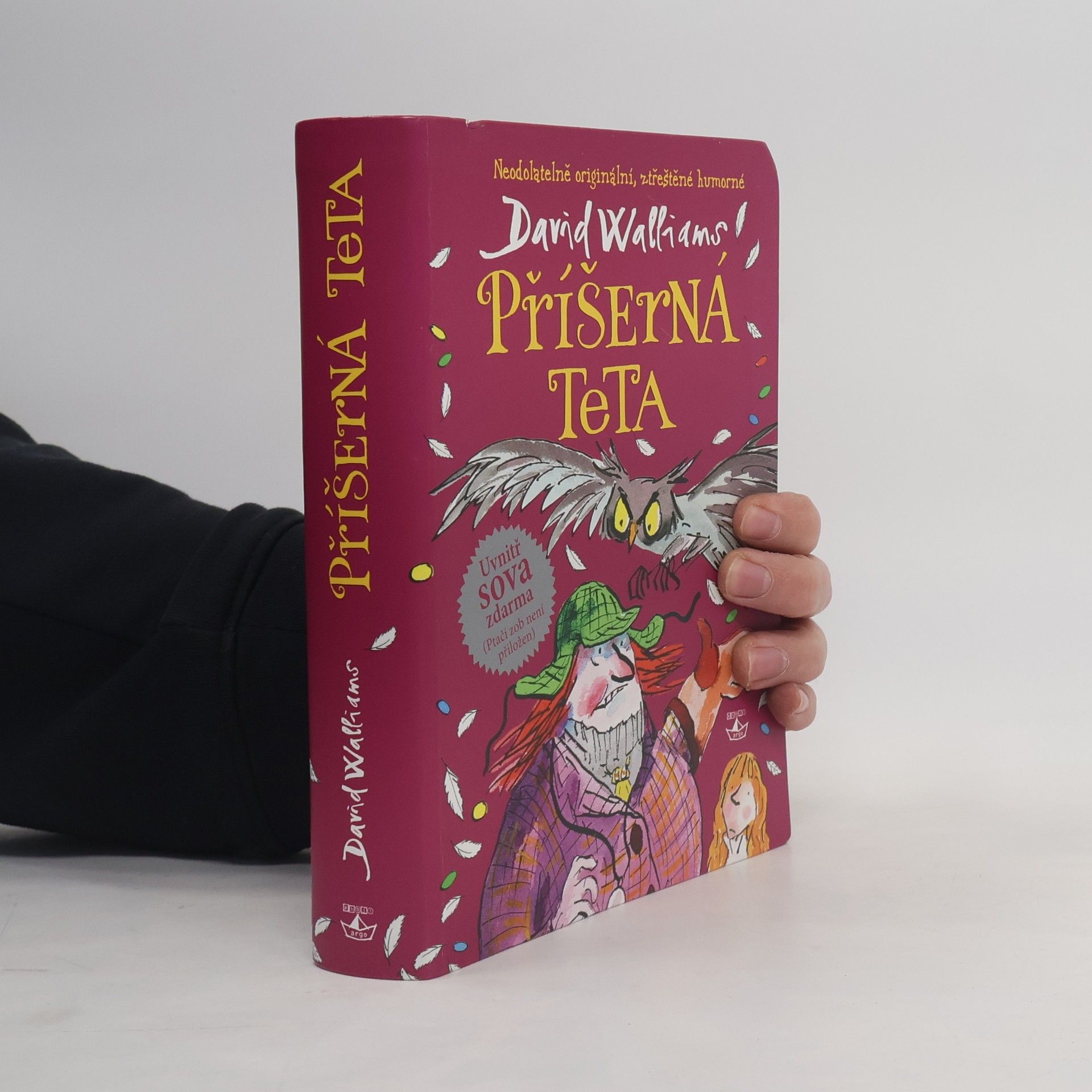 David Walliams Příšerná teta