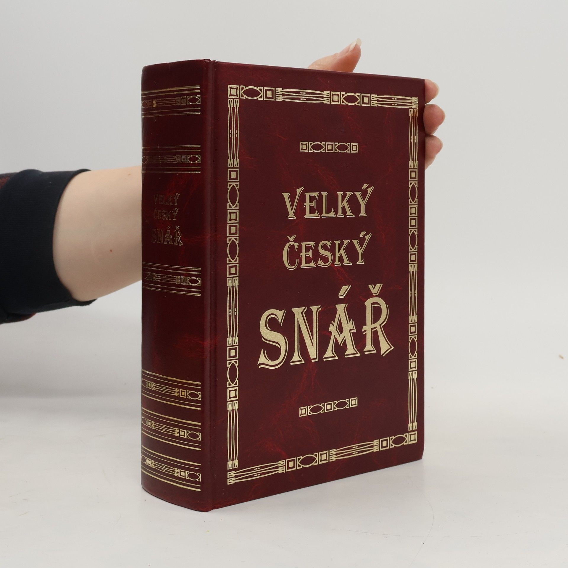 Anna Nováková Velký český snář