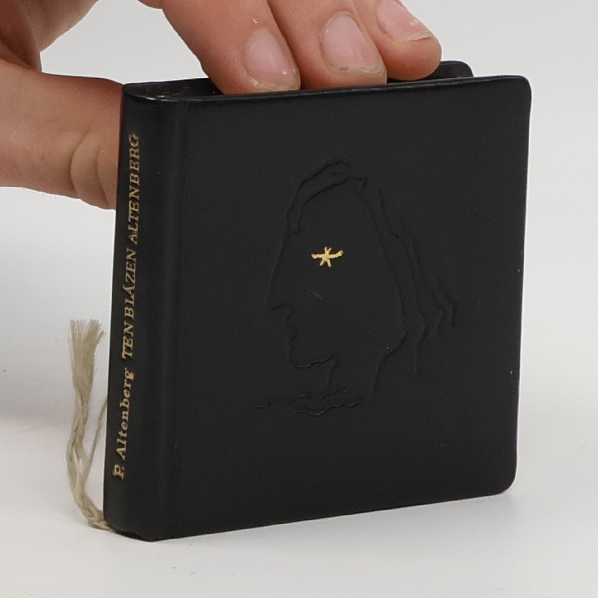 Petr Altenberg Ten blázen Altenberg