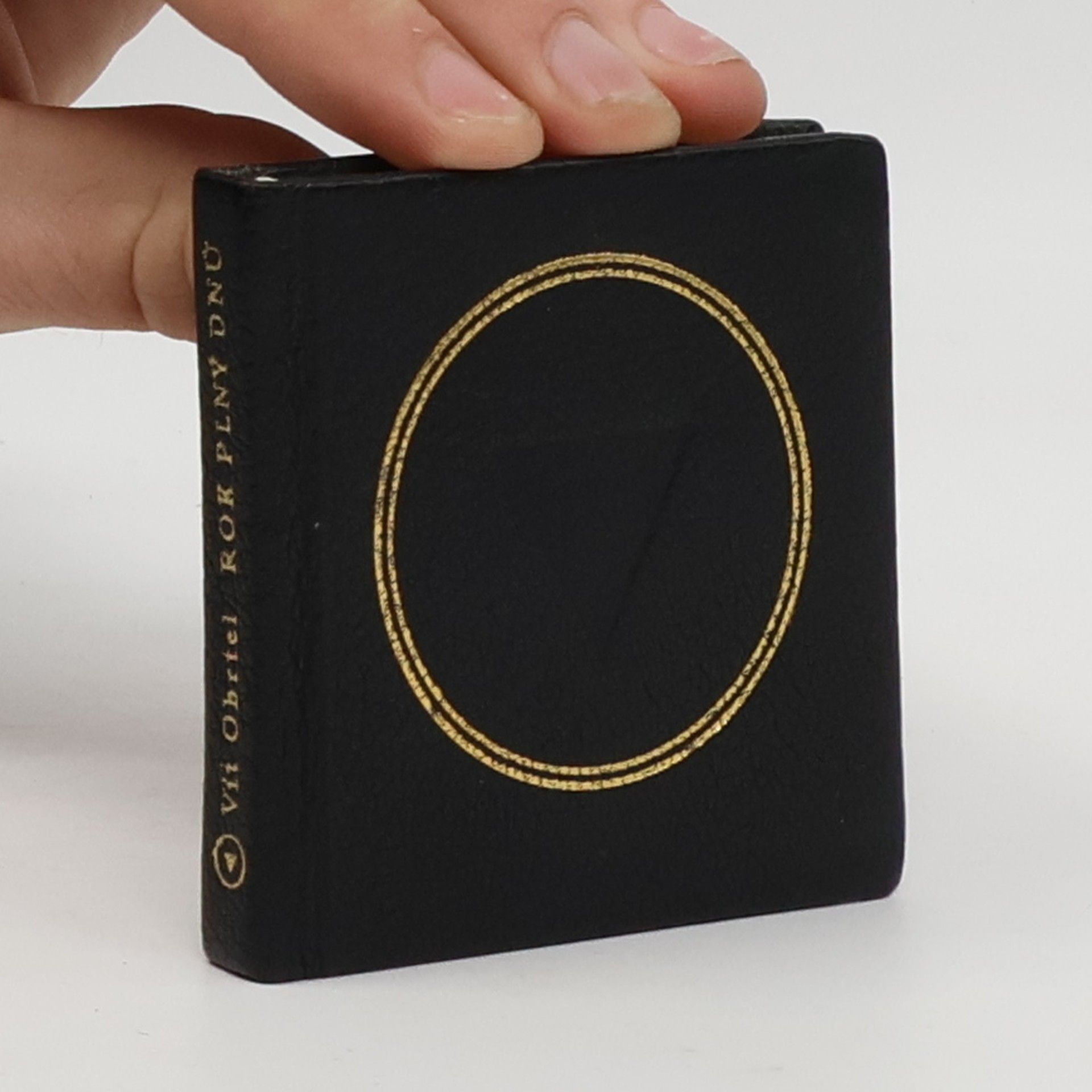 Vít Obrtel Rok plný dnů