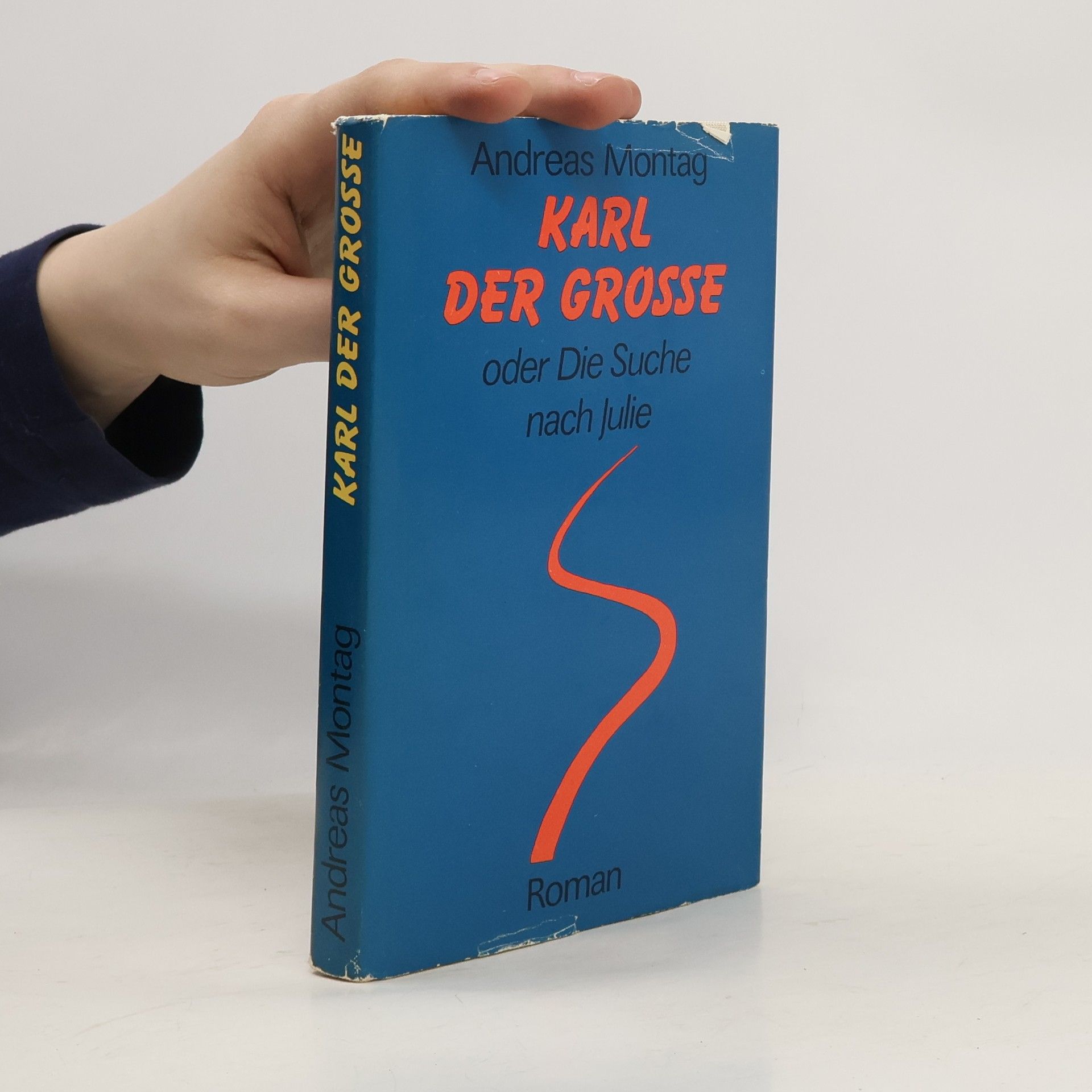 Andreas Montag Karl der Grosse oder Die Suche nach Julie