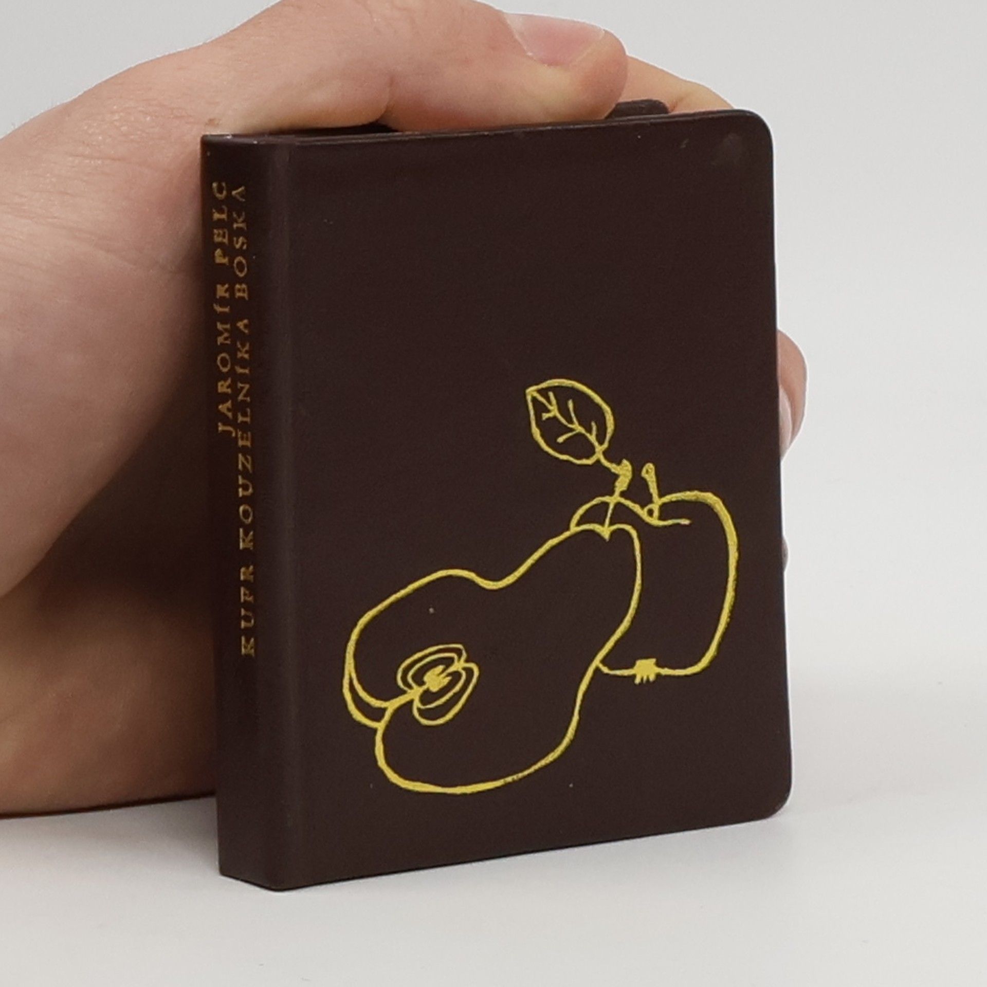 Jaromír Pelc Kufr kouzelníka Boska