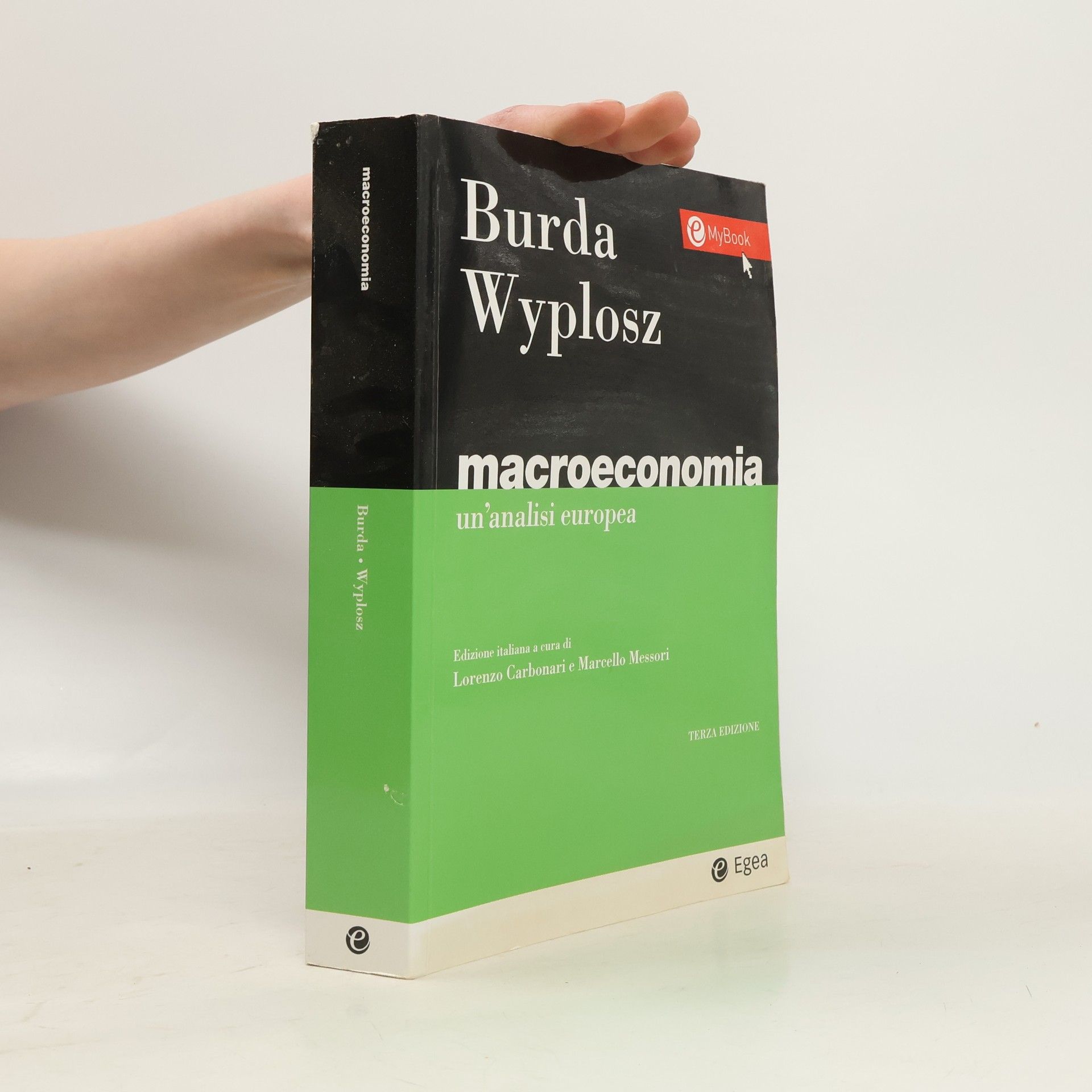 Macroeconomia. Un'analisi europea - Terza edizione