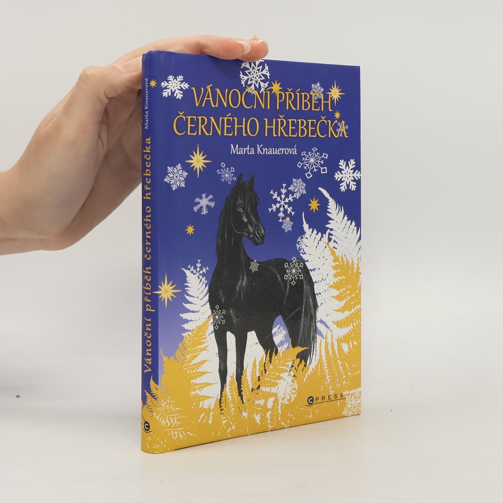 Marta Knauerová Vánoční příběh černého hřebečka