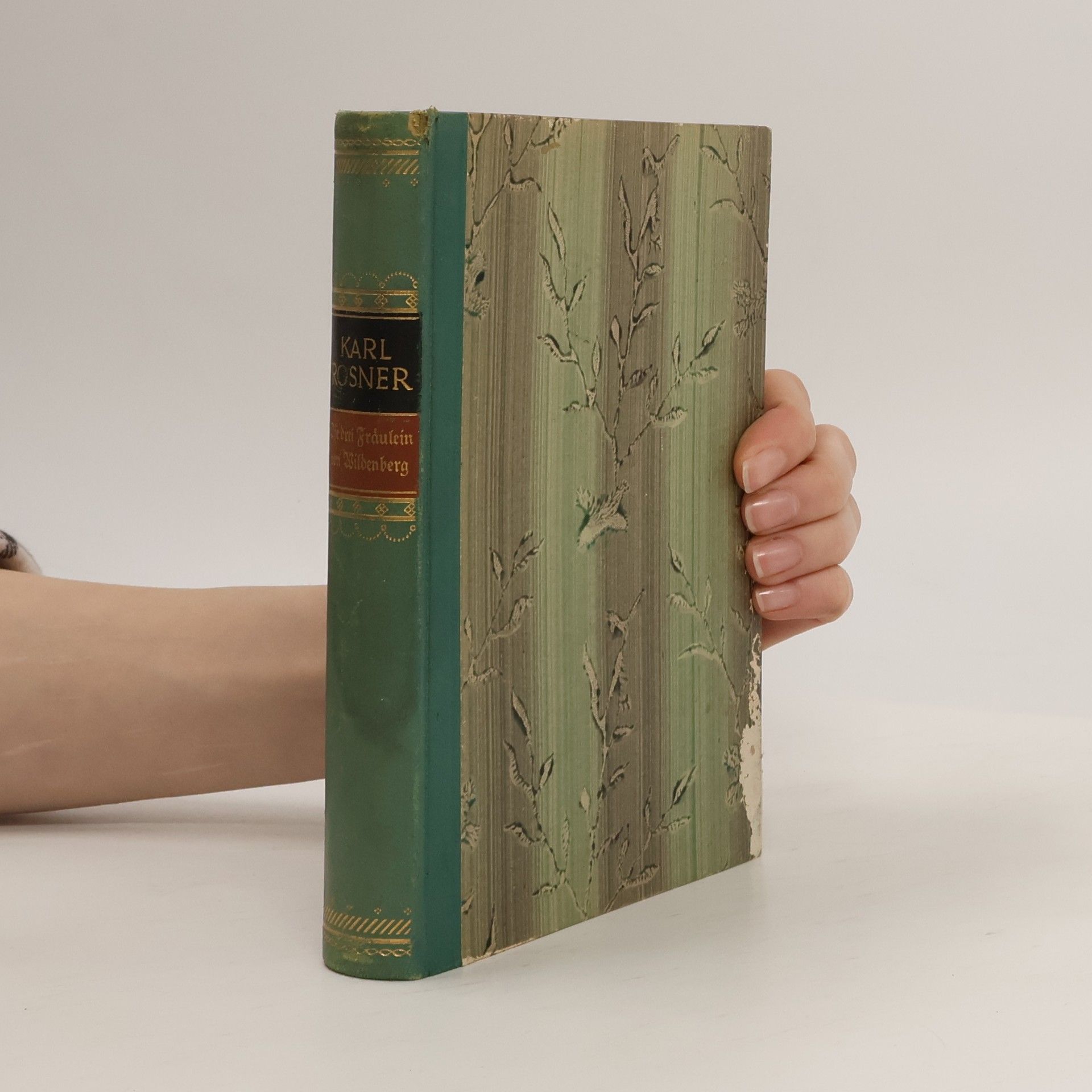 Die drei Fräulein von Wildenberg