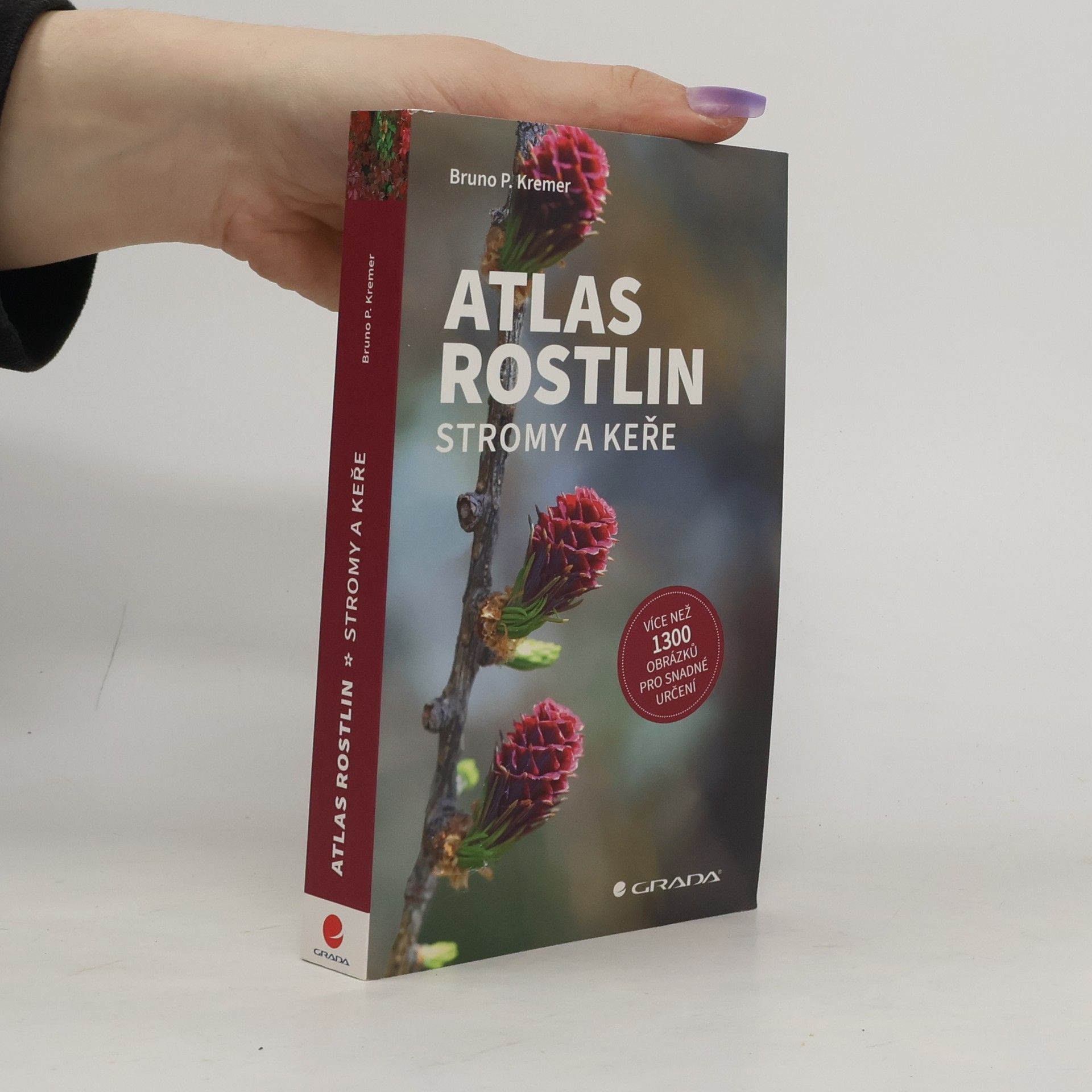 Bruno P. Kremer Atlas rostlin. Stromy a keře
