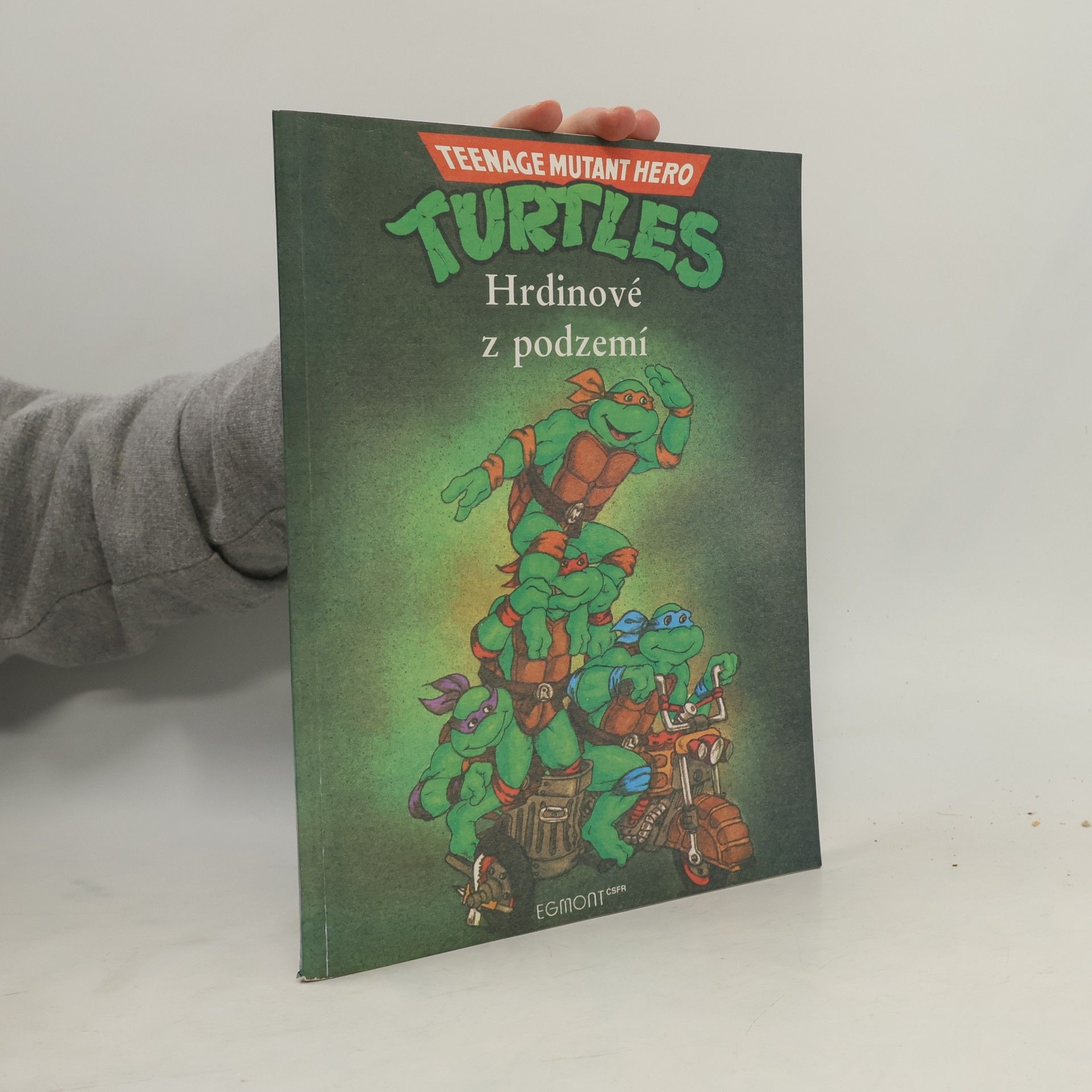 Maureen Spurgeon Teenage Mutant Ninja Turtles. Hrdinové z podzemí