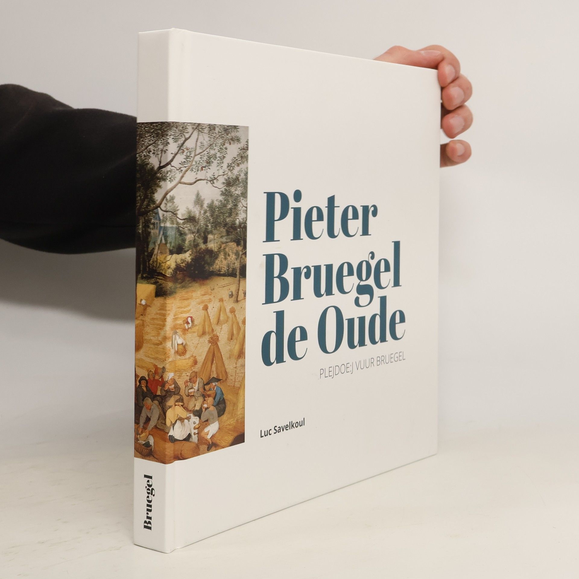 Luc Savelkoul Pieter Breugel de Oude