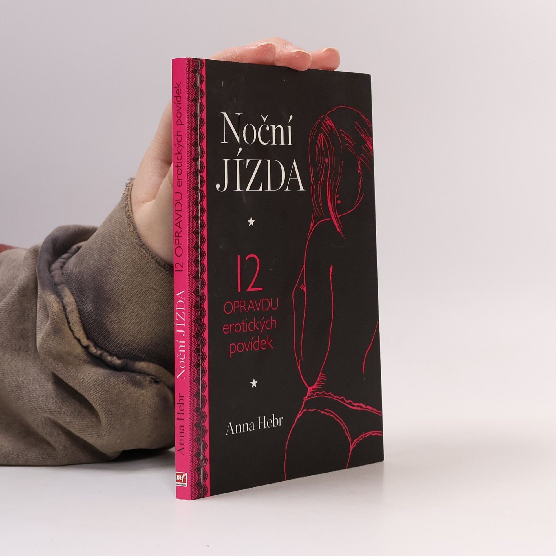 Anna Hebr Noční jízda : 12 opravdu erotických povídek