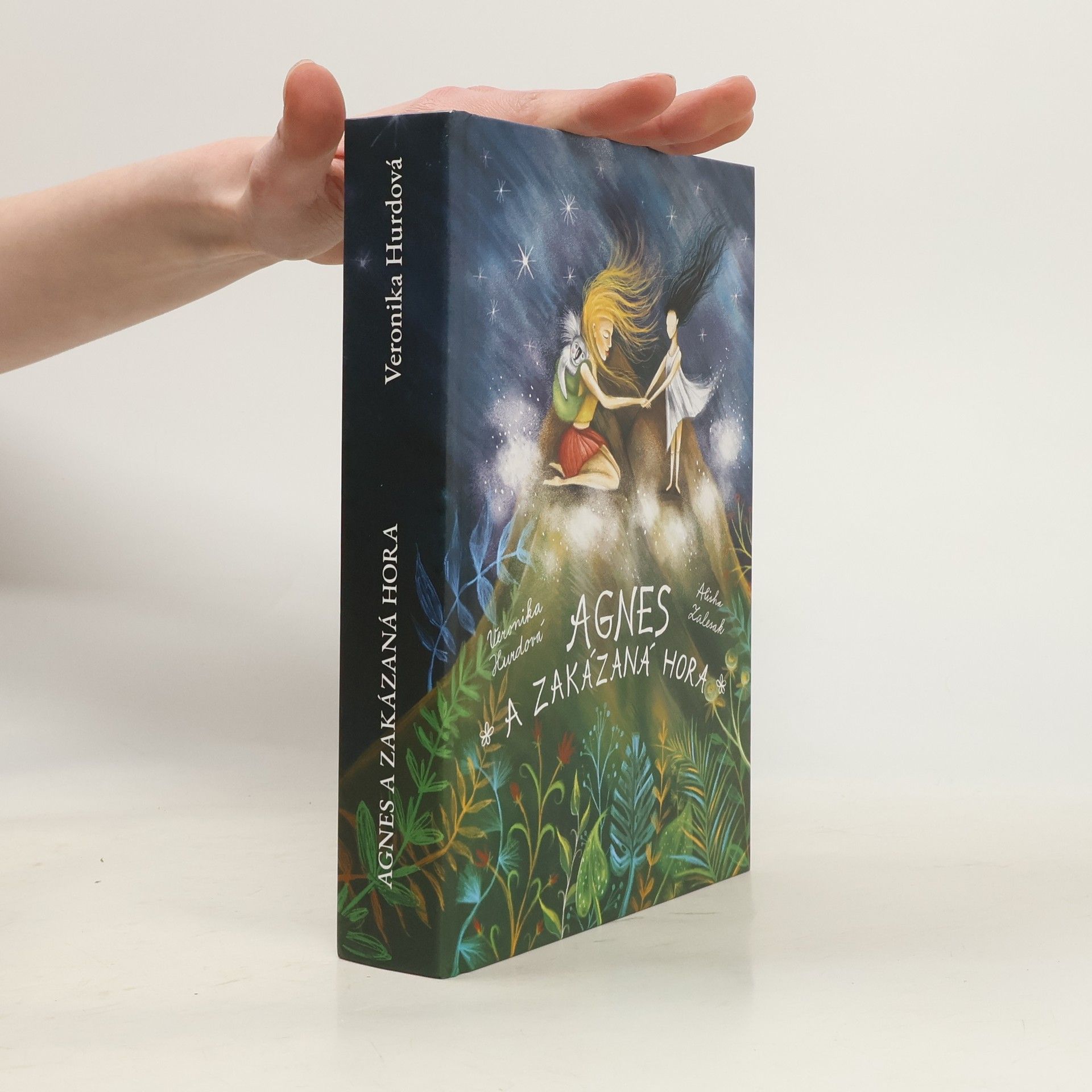 Veronika Hurdová Agnes a Zakázaná hora