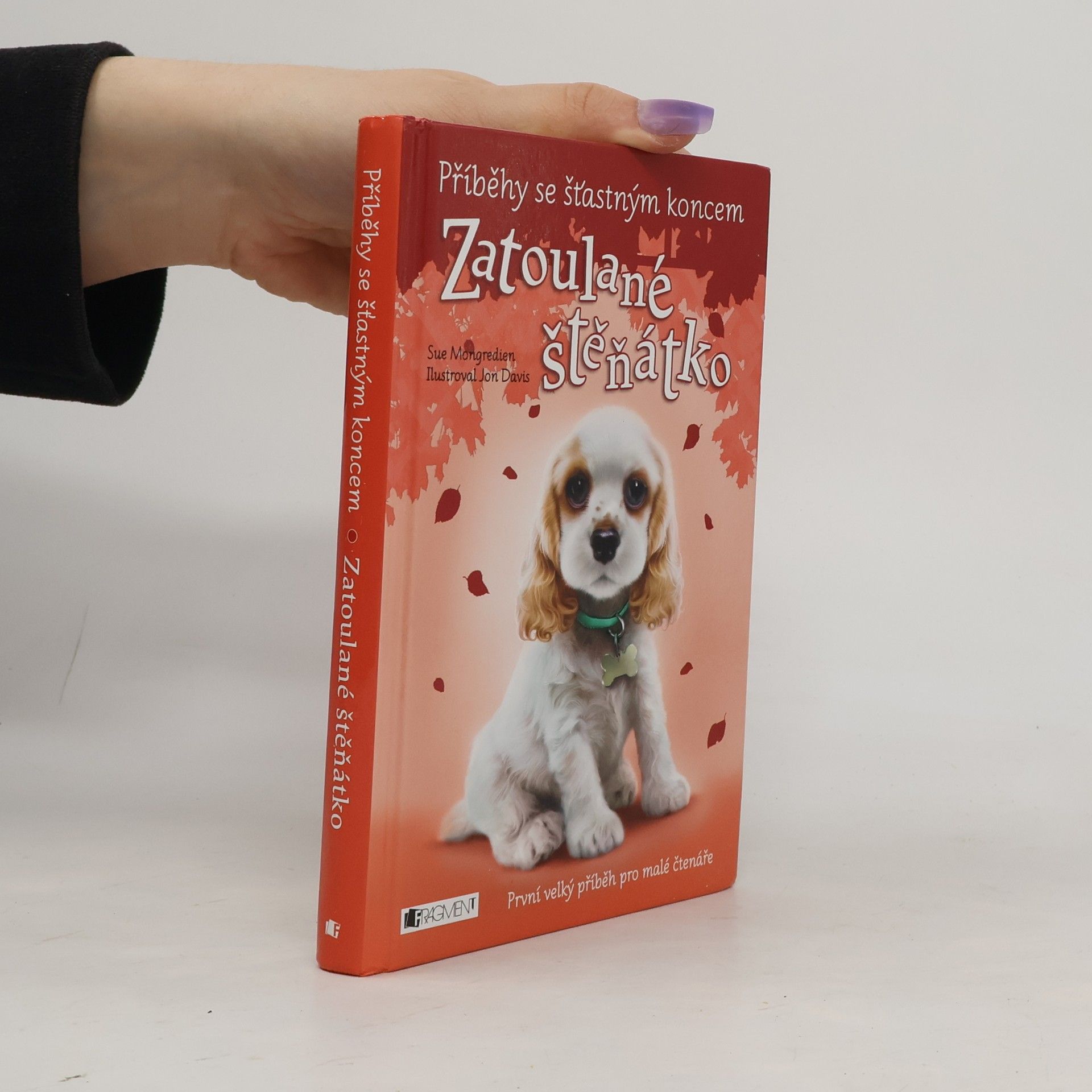 Jon Davis Zatoulané štěňátko