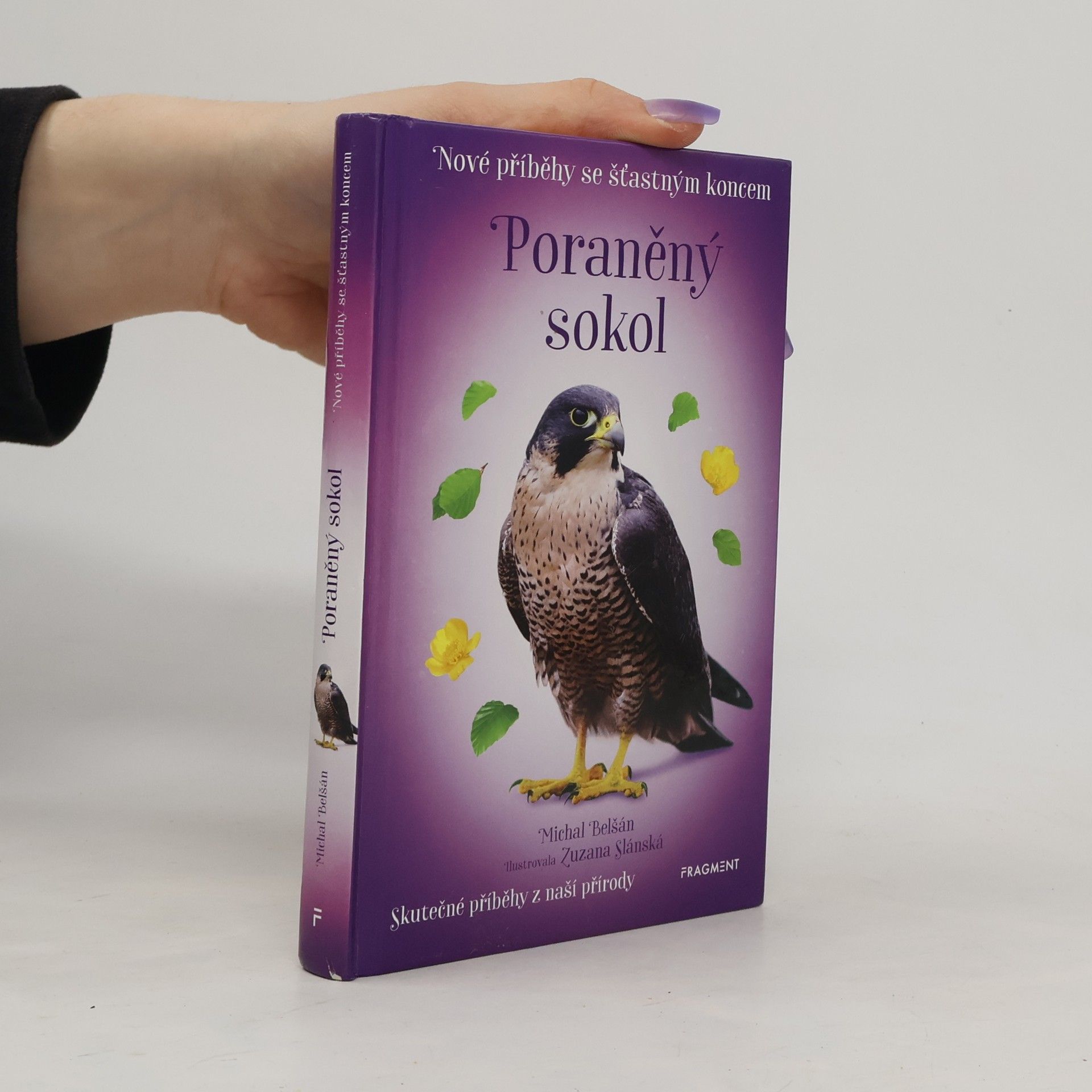 Michal Belšán Poraněný sokol