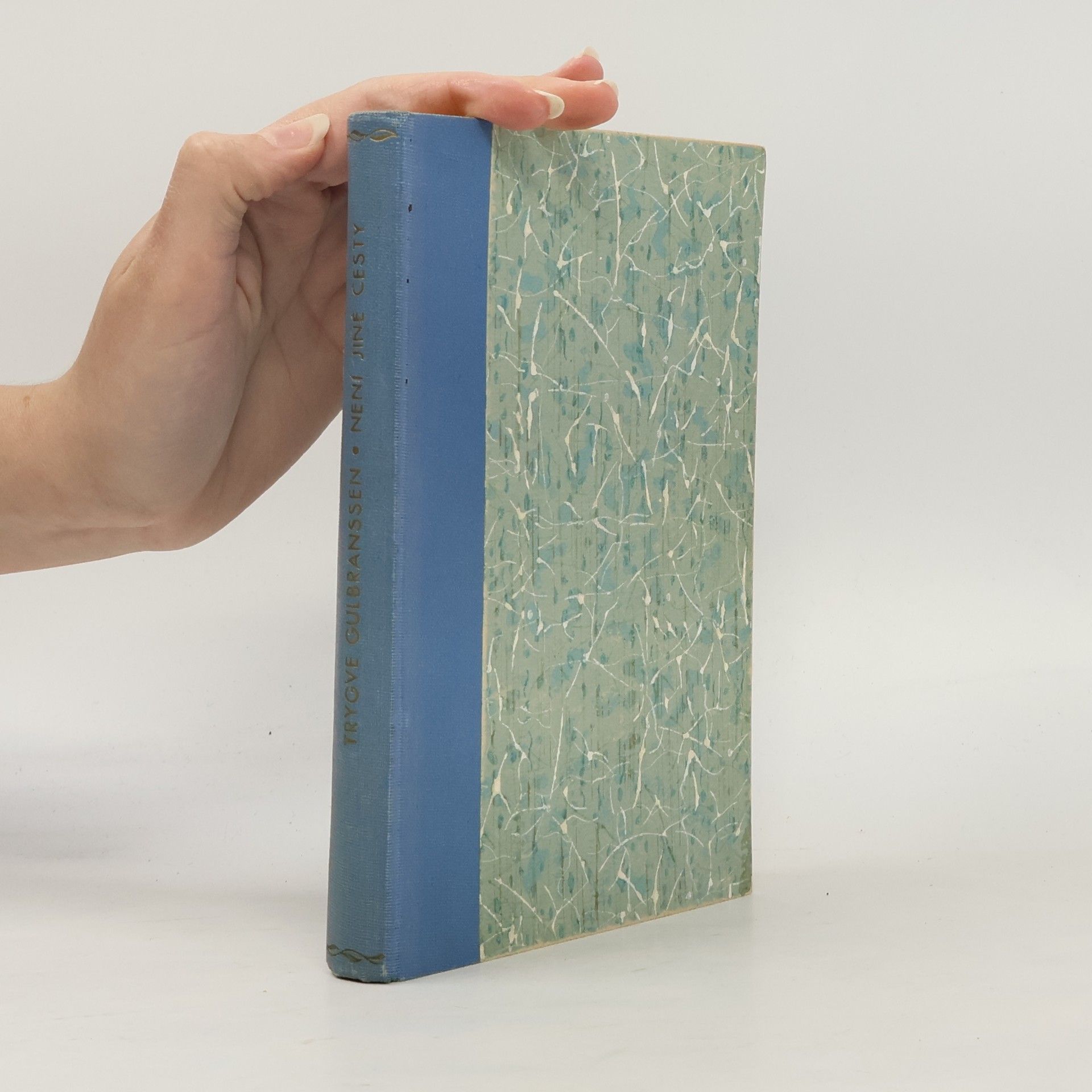 Trygve Gulbranssen Není jiné cesty