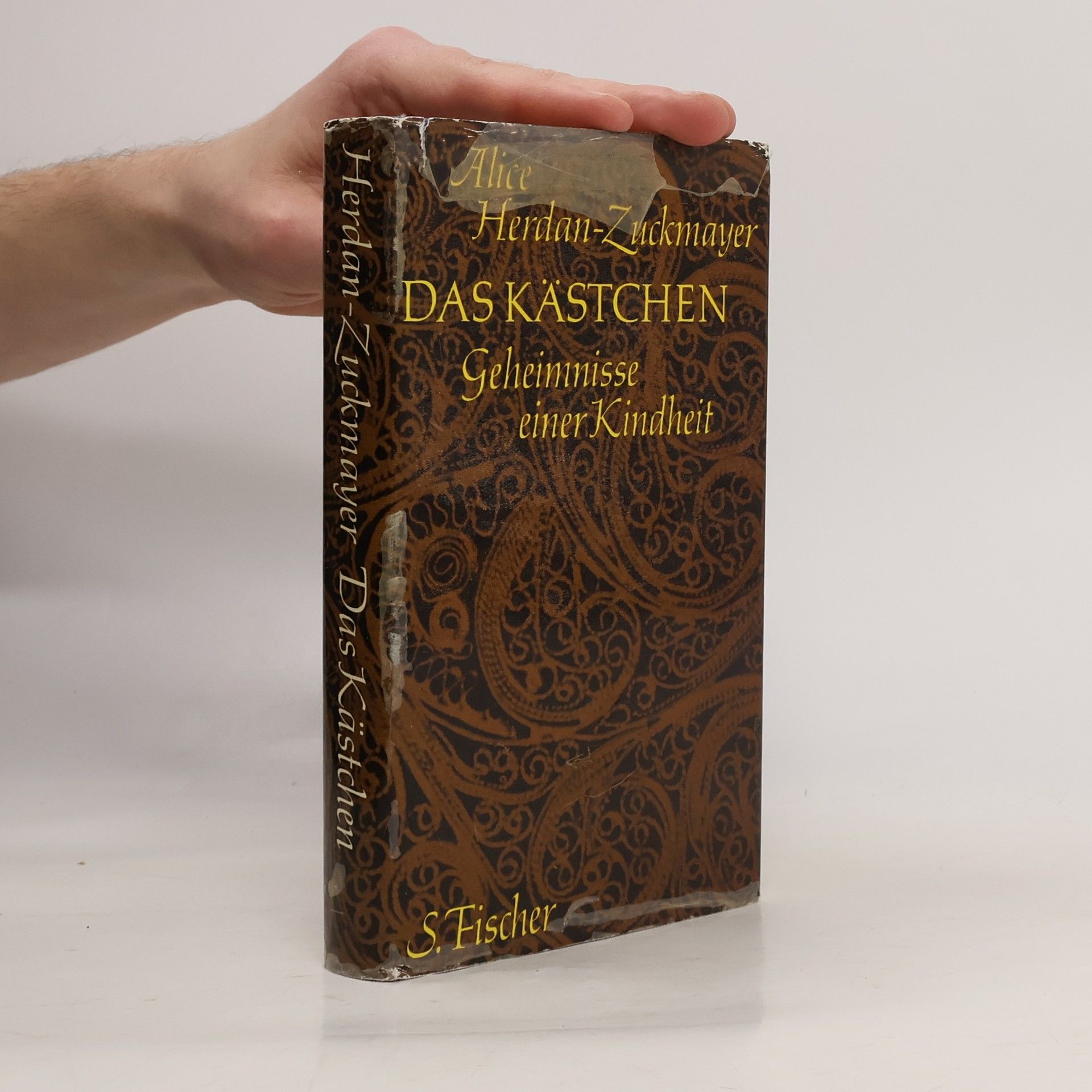 Alice Herdan-Zuckmayer Das Kästchen