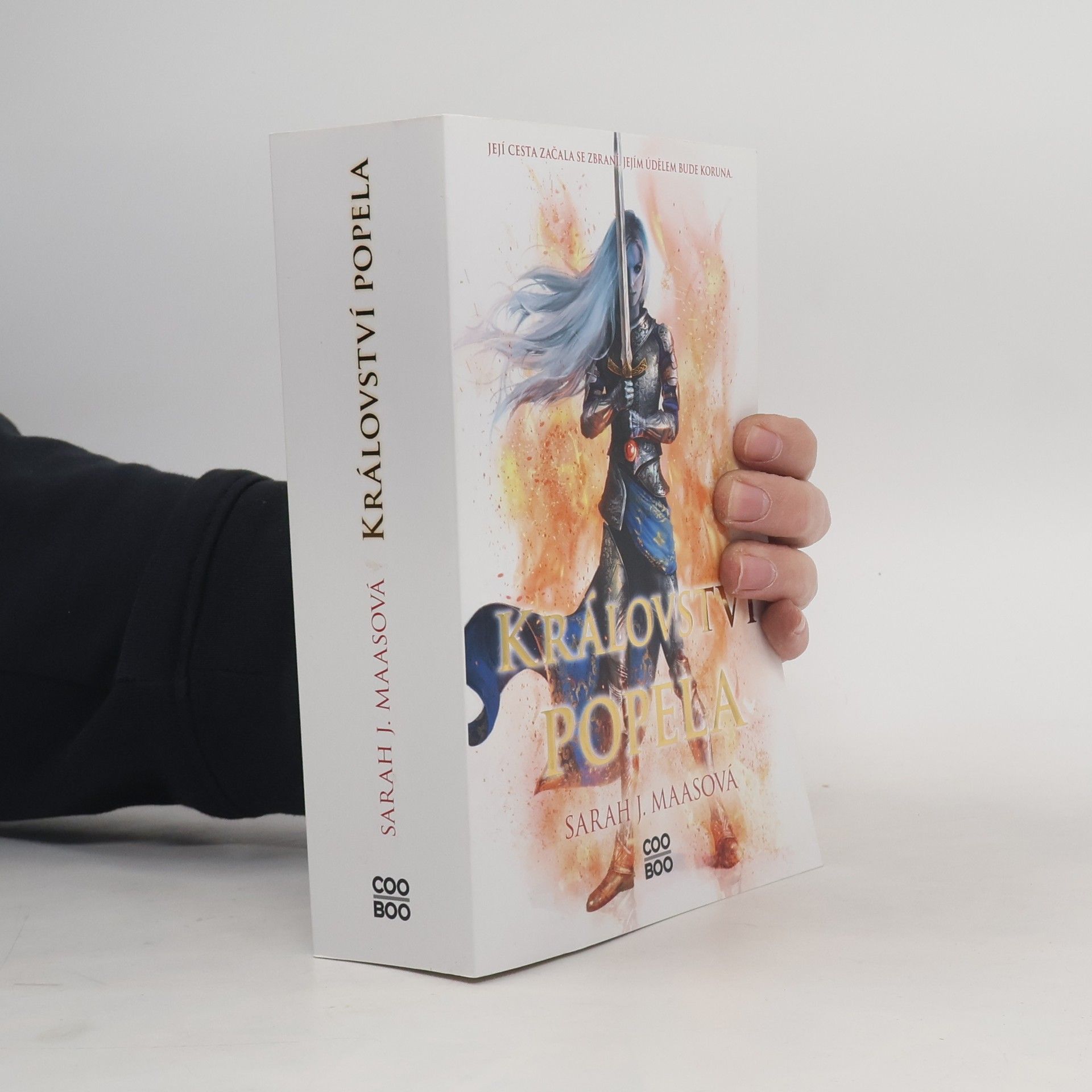 Sarah J. Maas Království popela