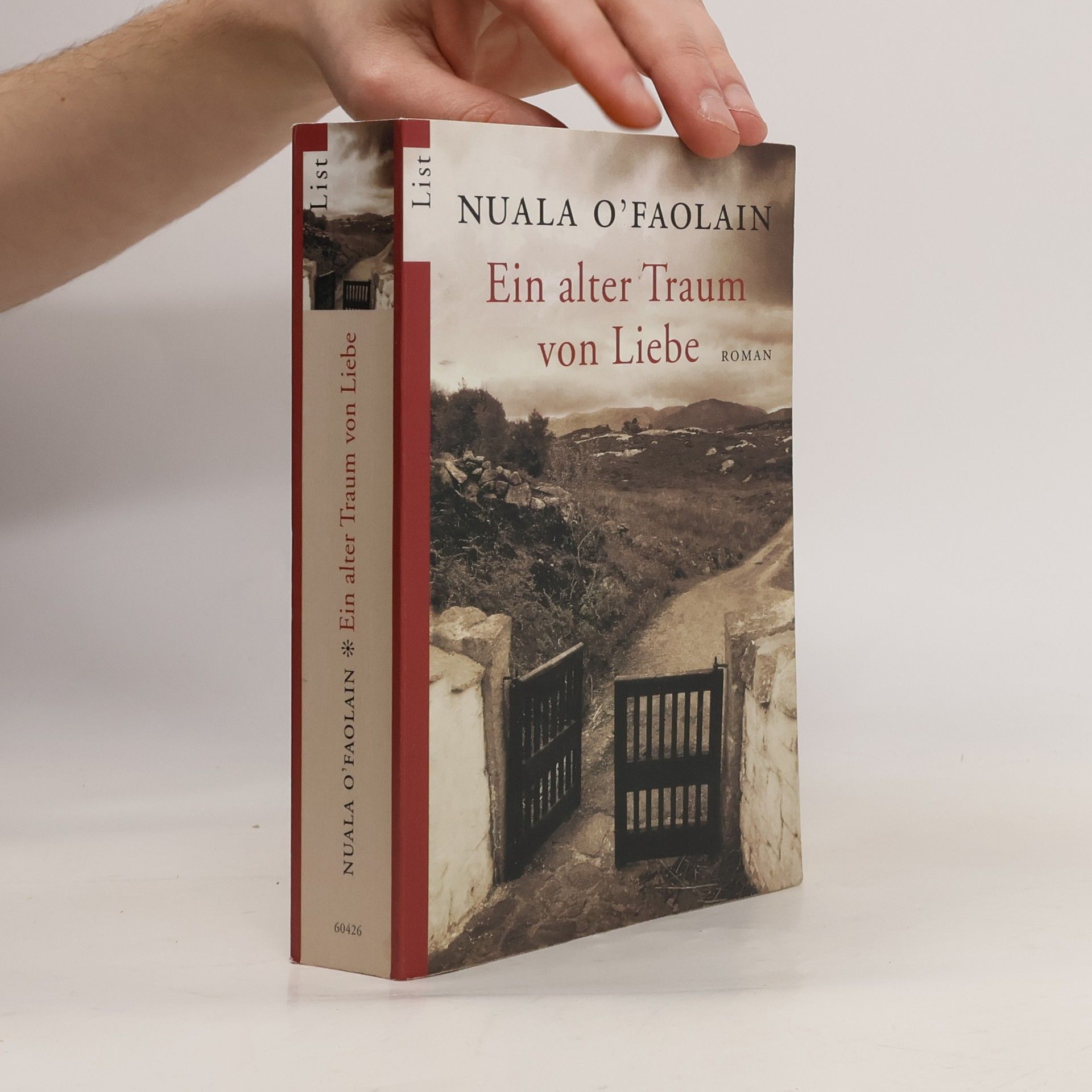 Nuala O. Faolain Ein alter Traum von Liebe