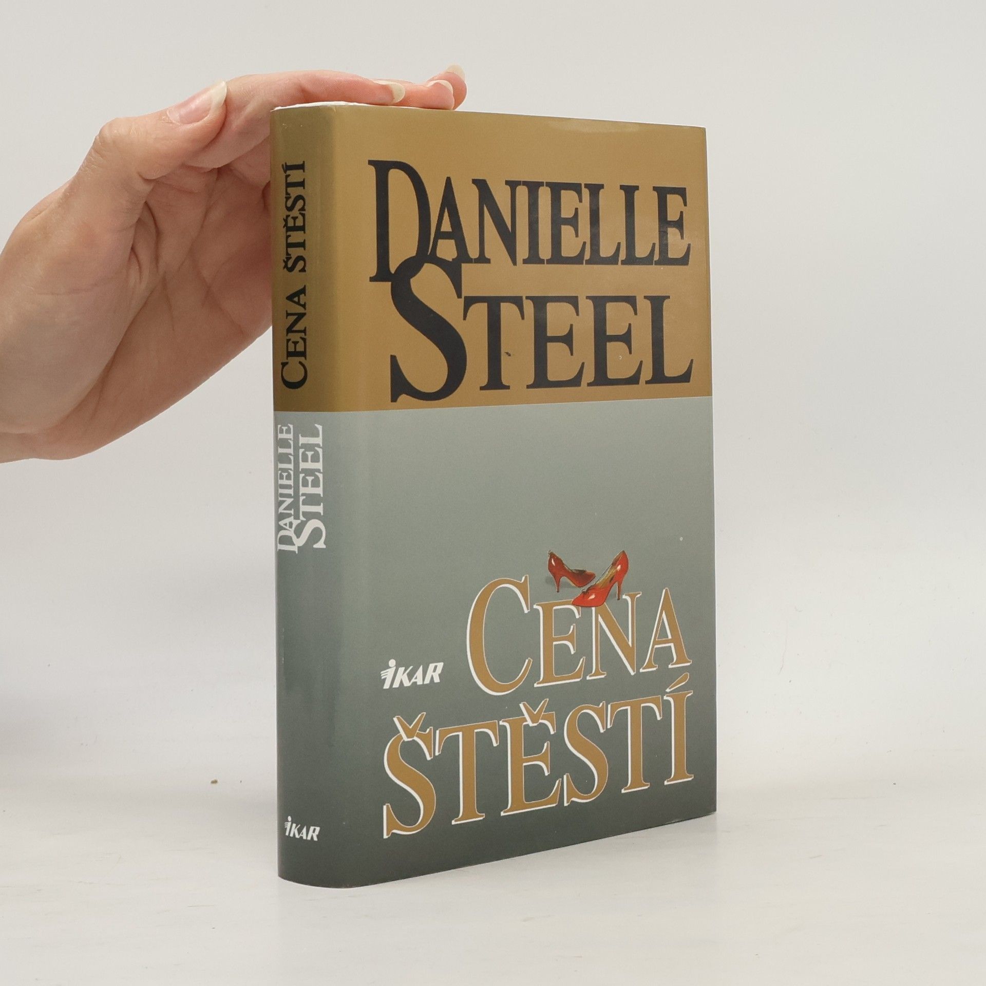 Danielle Steelová Cena štěstí