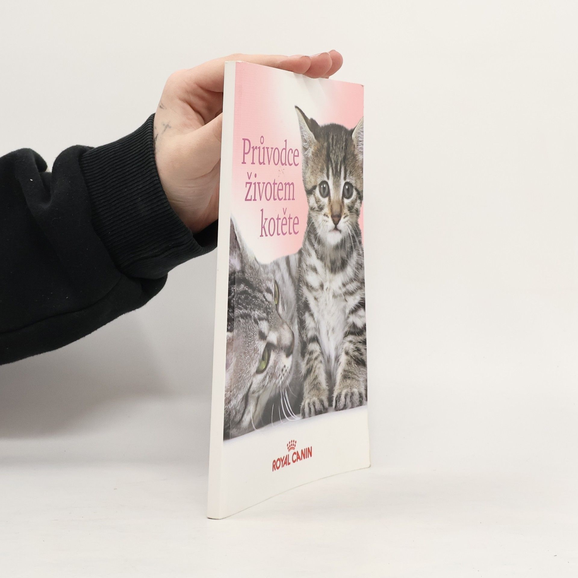 Kolektiv autorů Průvodce životem koček