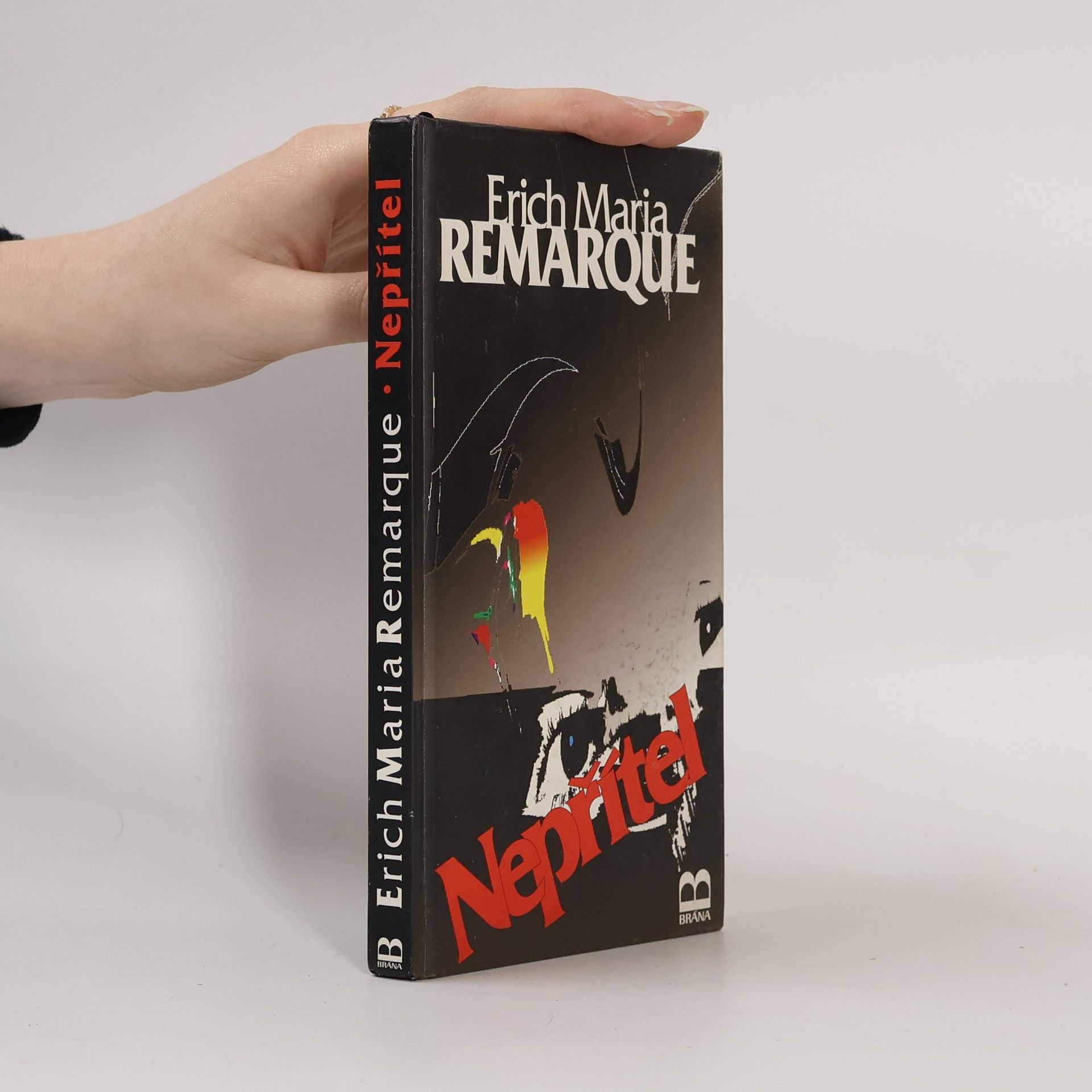 Erich Maria Remarque Nepřítel