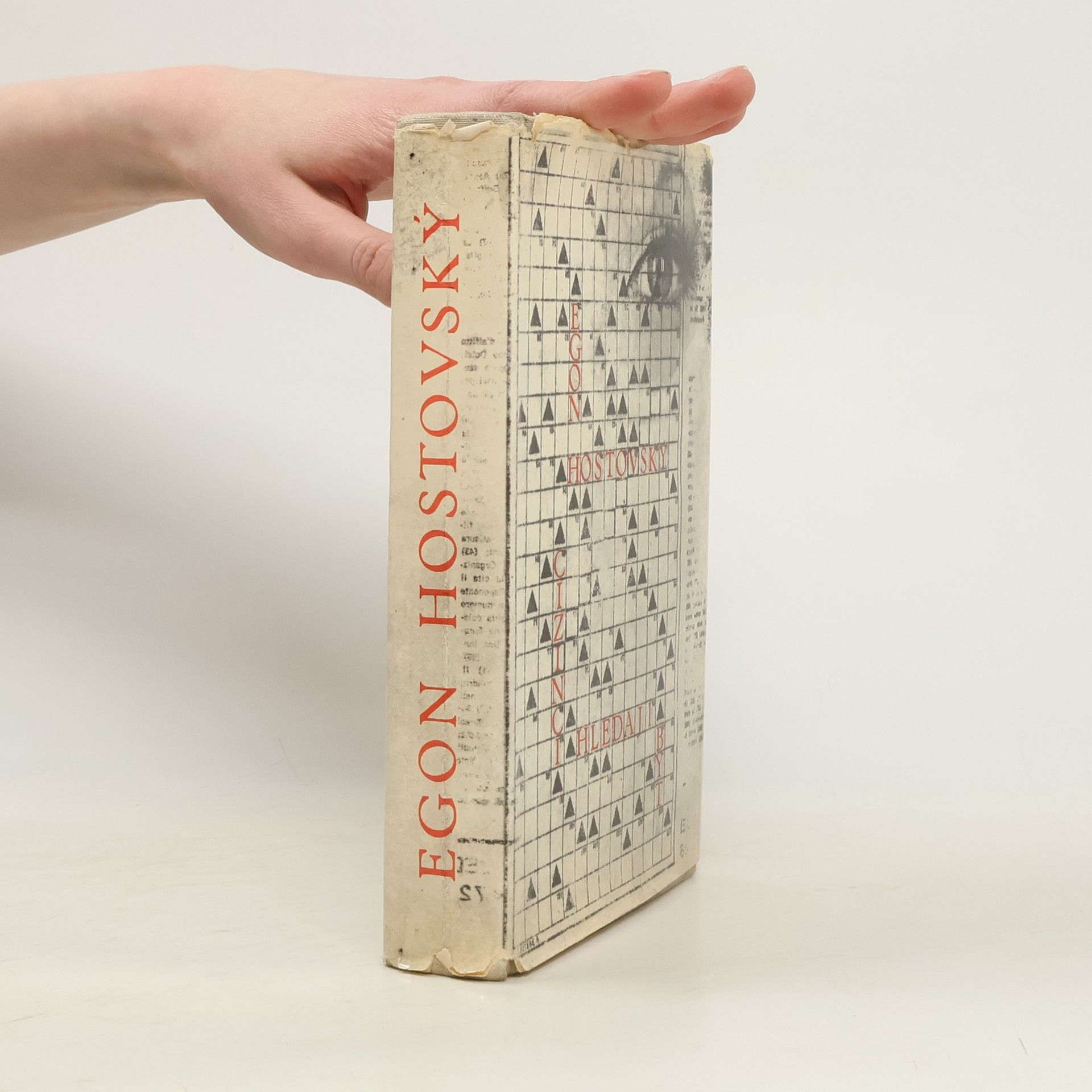 Egon Hostovský Cizinci hledají byt