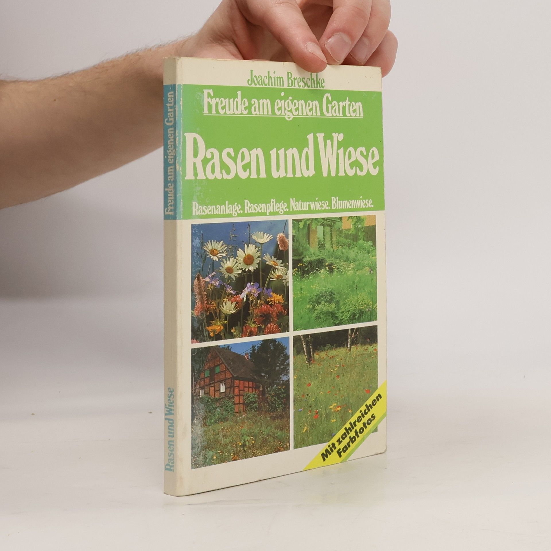 Freude am eigenen Garten: Rasen und Wiese