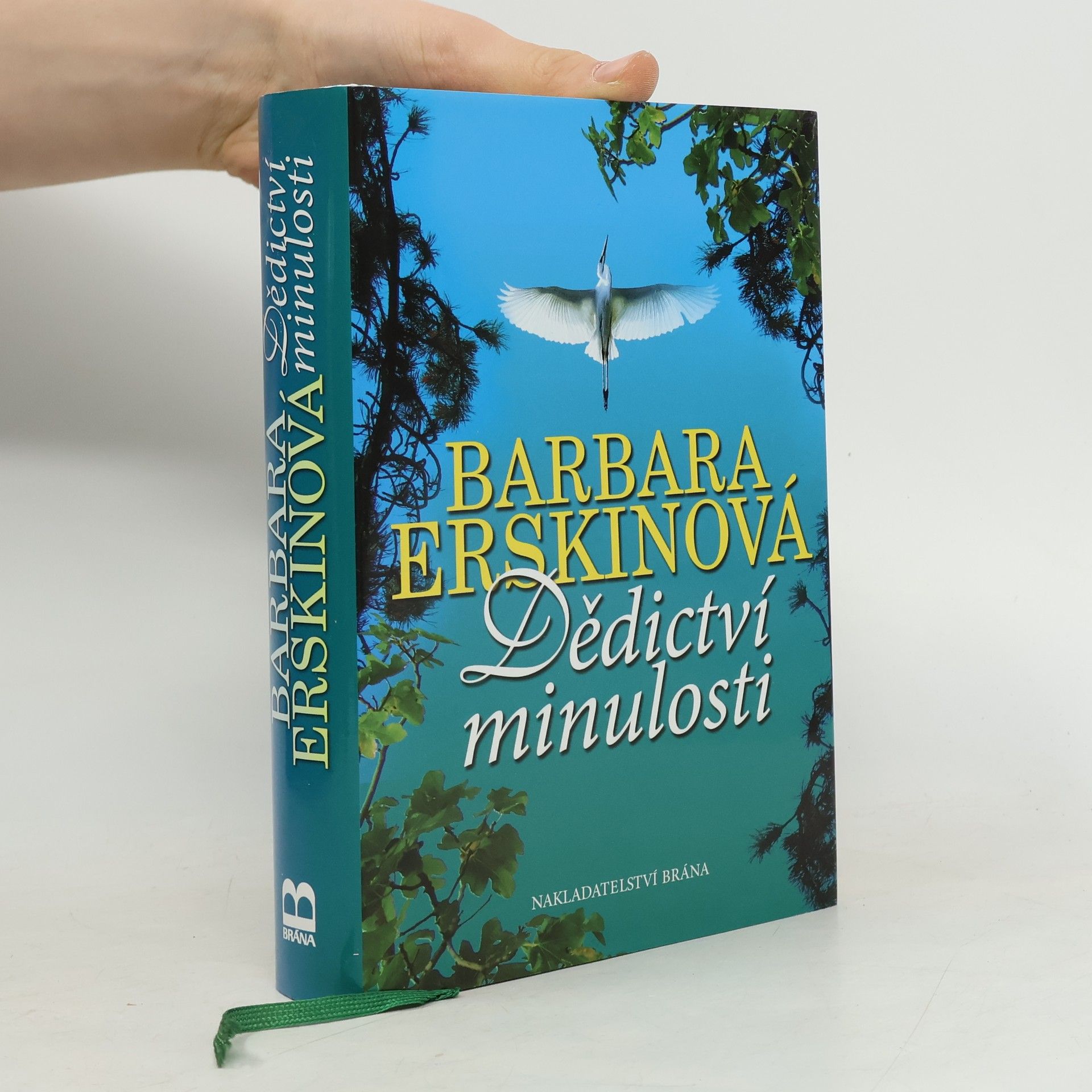 Barbara Erskine Dědictví minulosti
