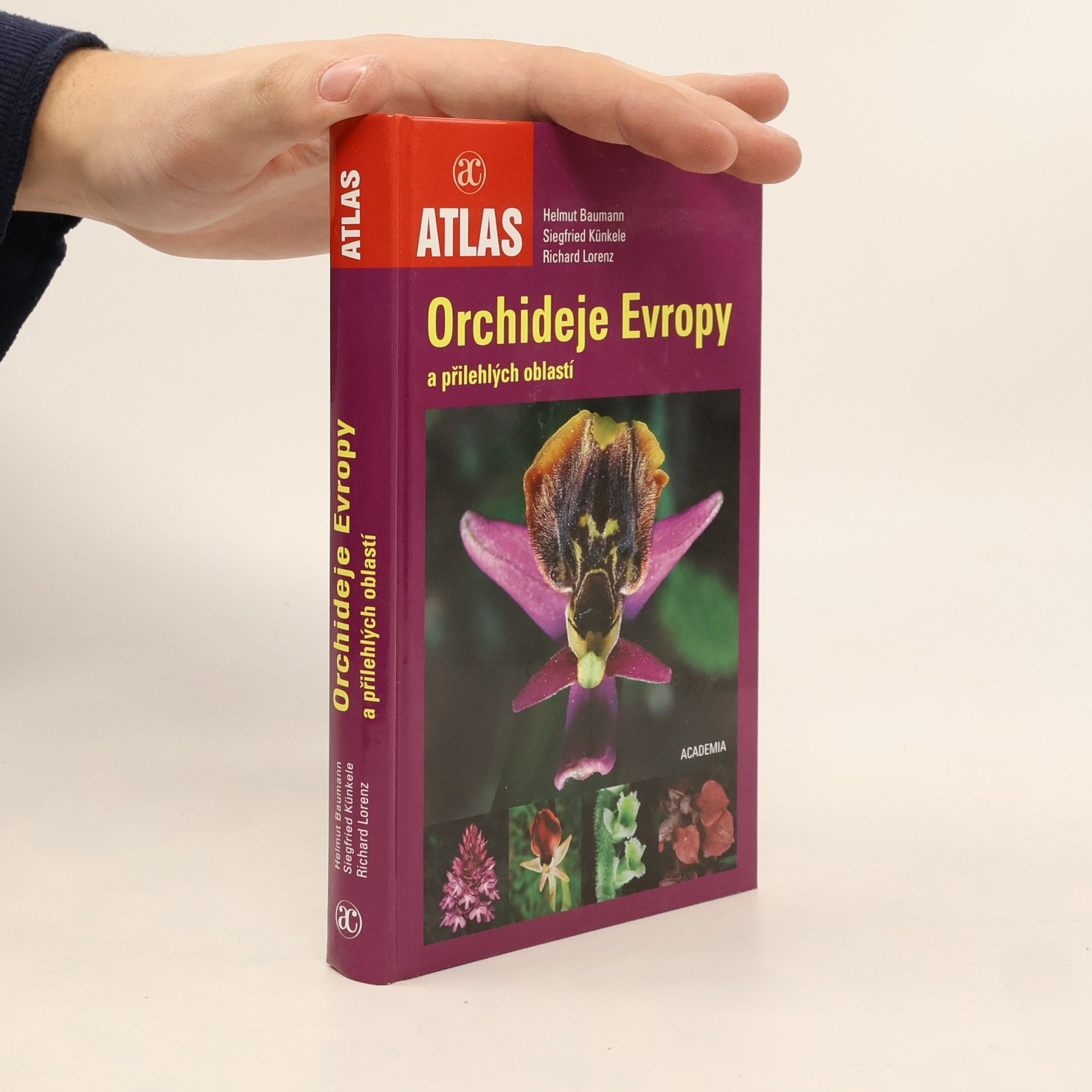 Helmut Baumann Orchideje Evropy a přilehlých oblastí