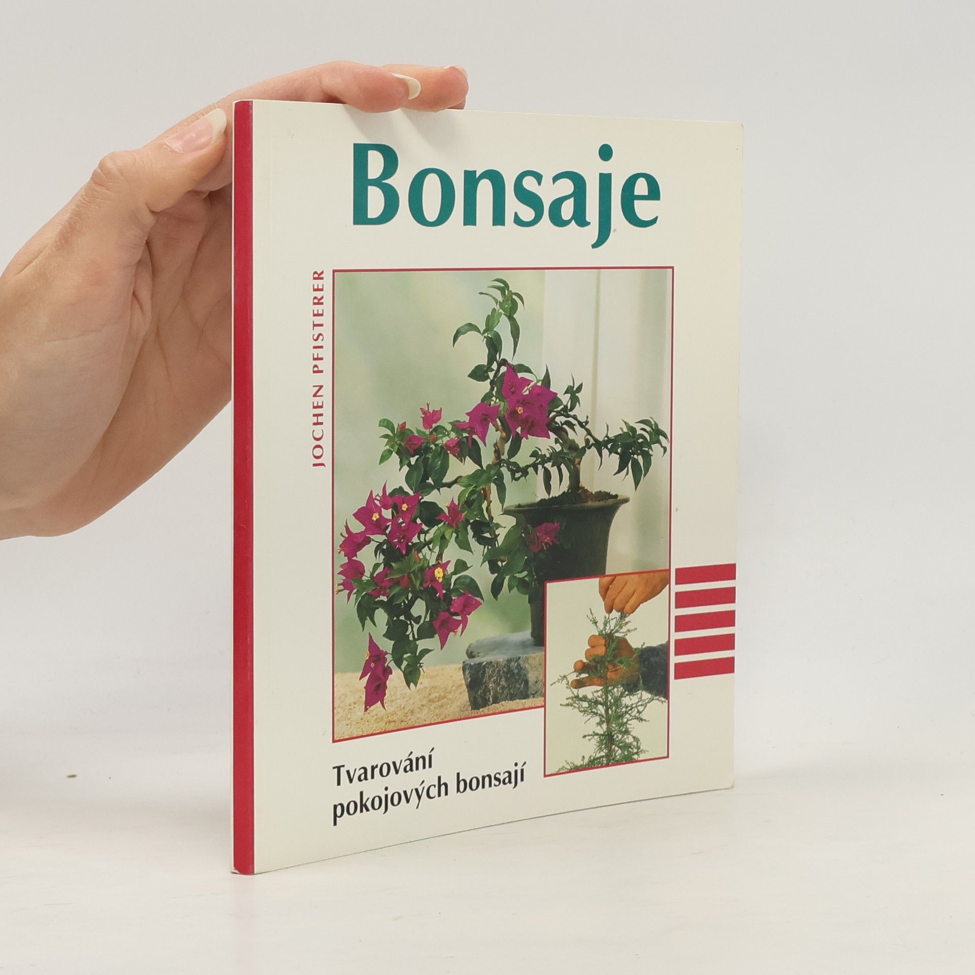 Jochen Pfisterer Bonsaje. Tvarování pokojových bonsají