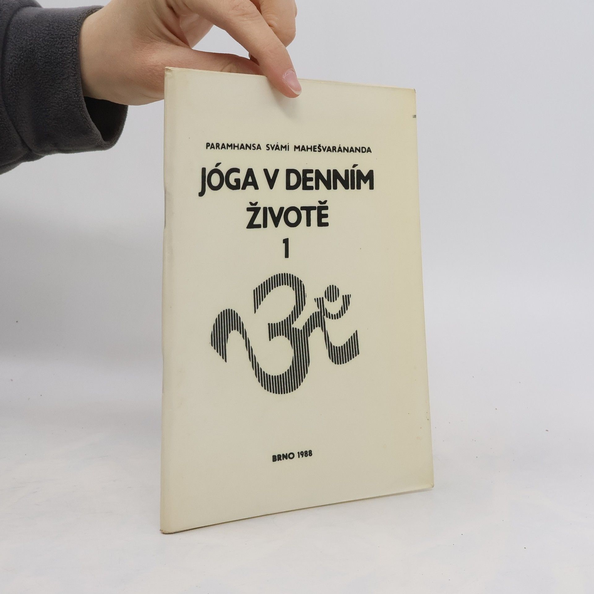 Kolektiv autorů Jóga v denním životě 1