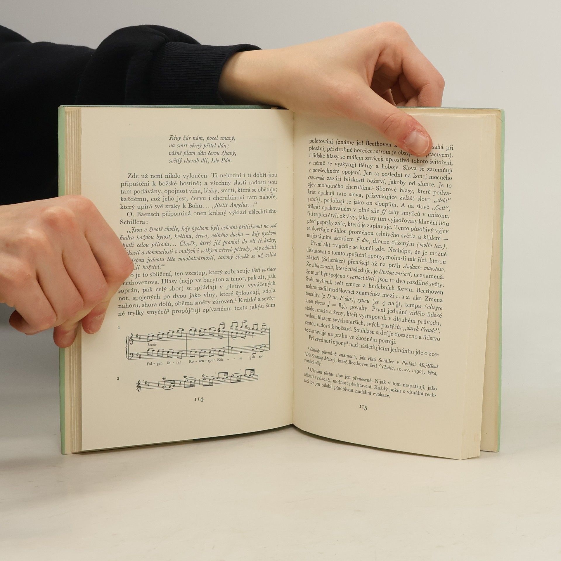Romain Rolland Beethoven III. Velká tvůrčí období. Nedokončená katedrála