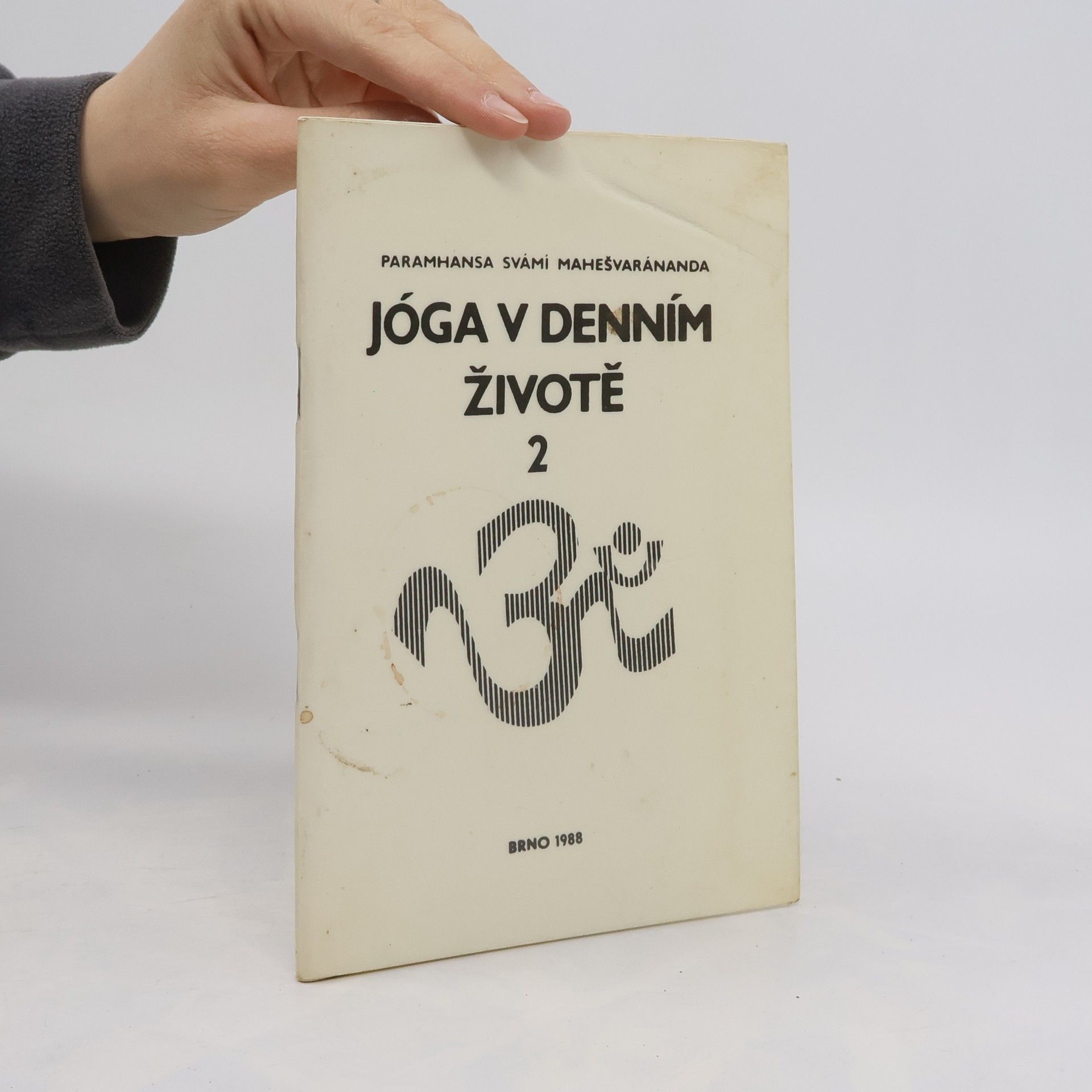 Swami Maheshwarananda Jóga v denním životě 2