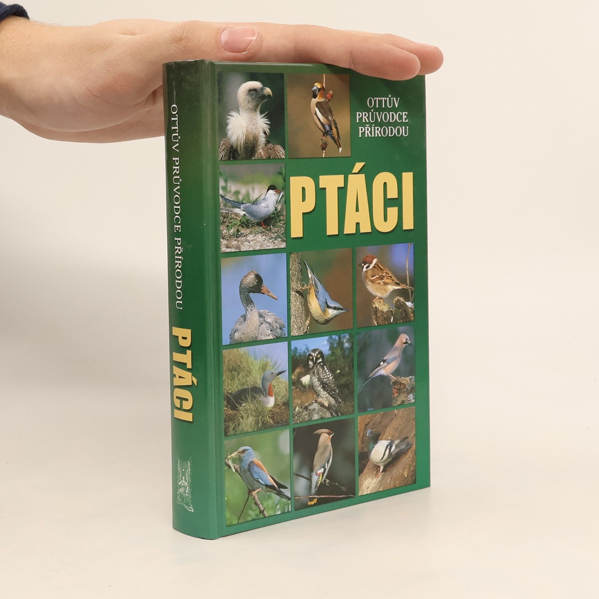Detlef Singer Ptáci : Ottův průvodce přírodou