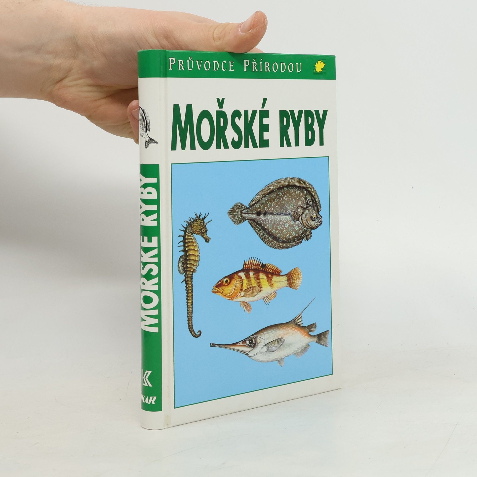 Sauer Frieder Mořské ryby v evropských vodách