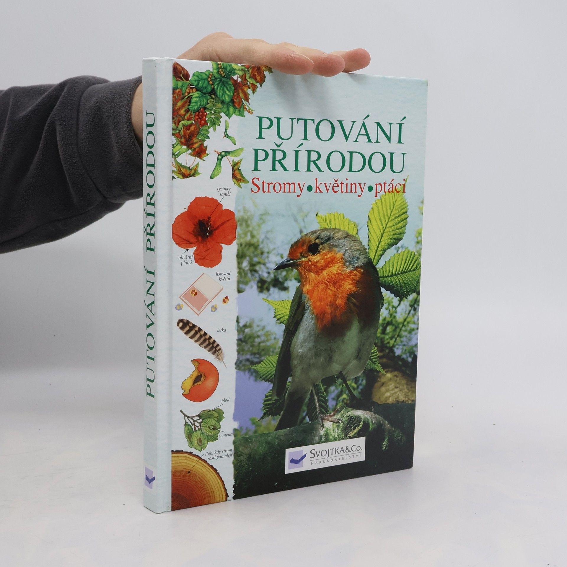 Various authors Putování přírodou: Stromy, květiny, ptáci