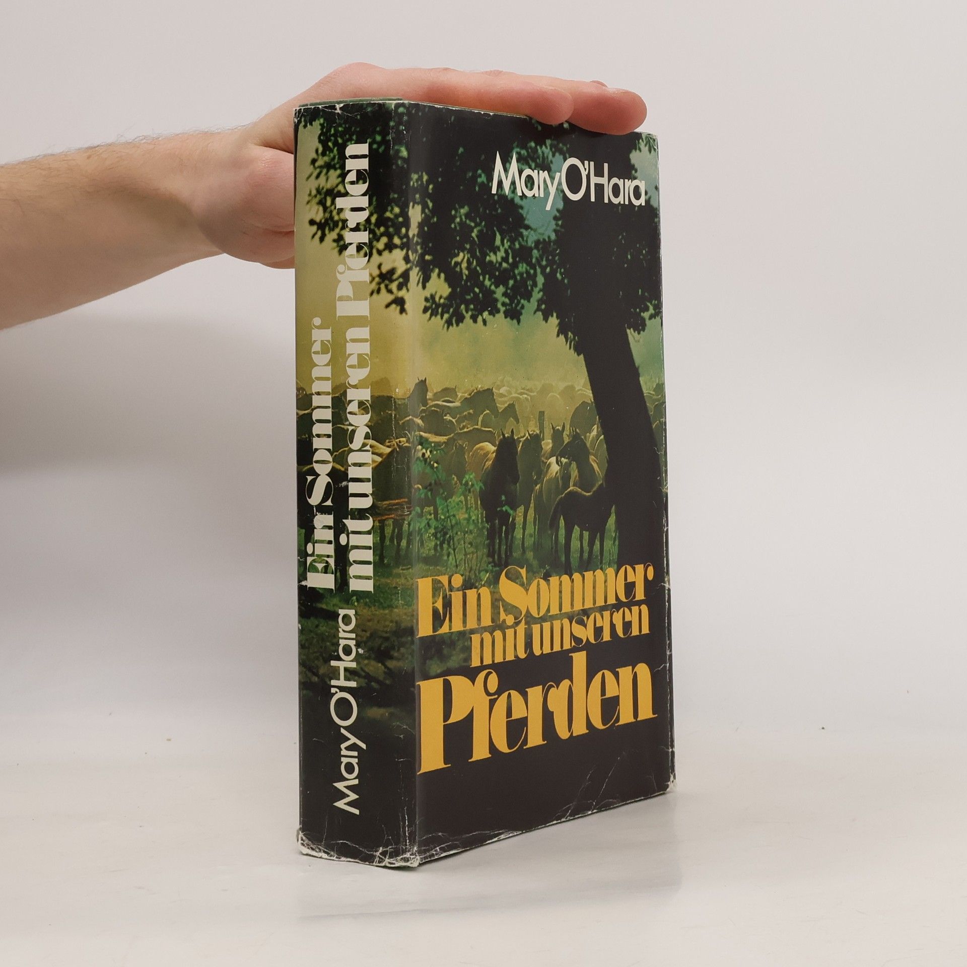 Mary O’Hara Ein Sommer mit unseren Pferden