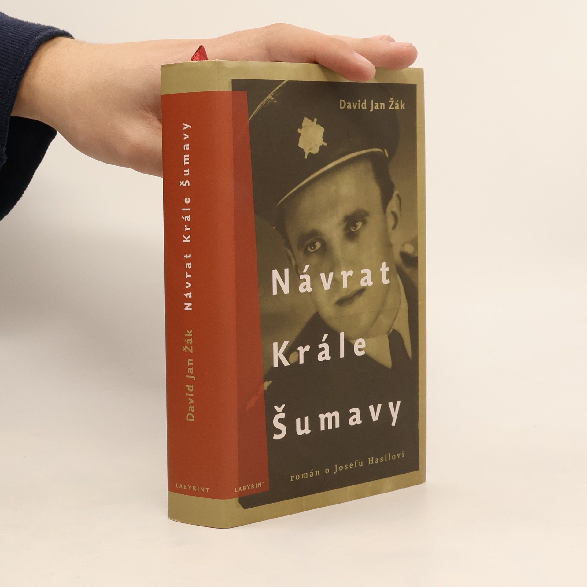 David Jan Žák Návrat Krále Šumavy