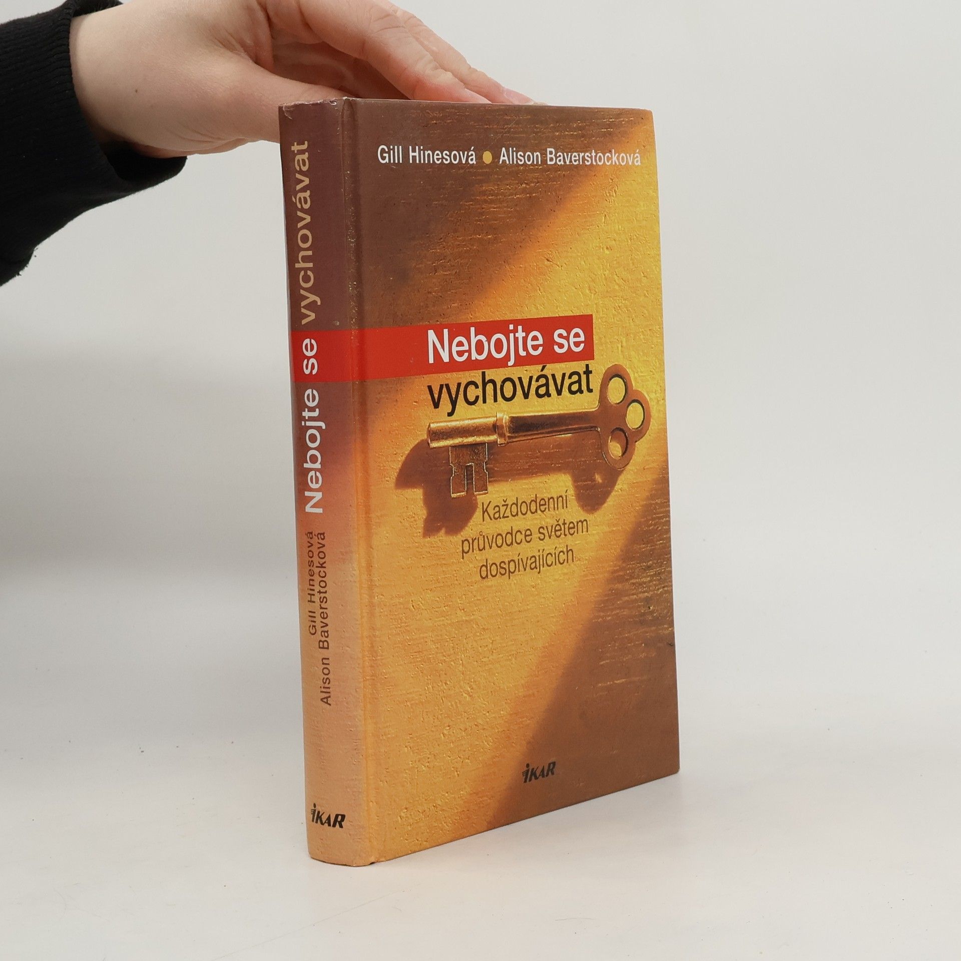 Gill Hines Nebojte se vychovávat: Každodenní průvodce světem dospívajících